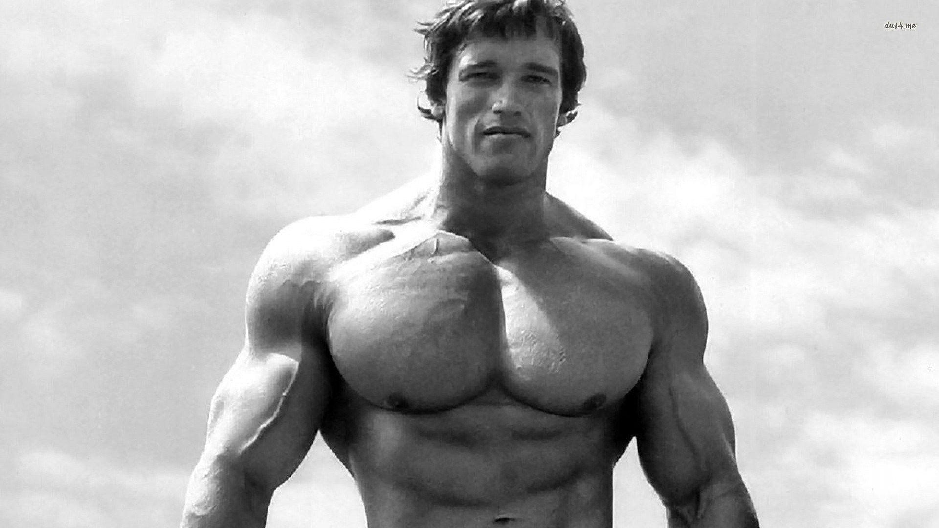 1920x1080 Zendha: Arnold Schwarzenegger Wallpaper 1920x1080