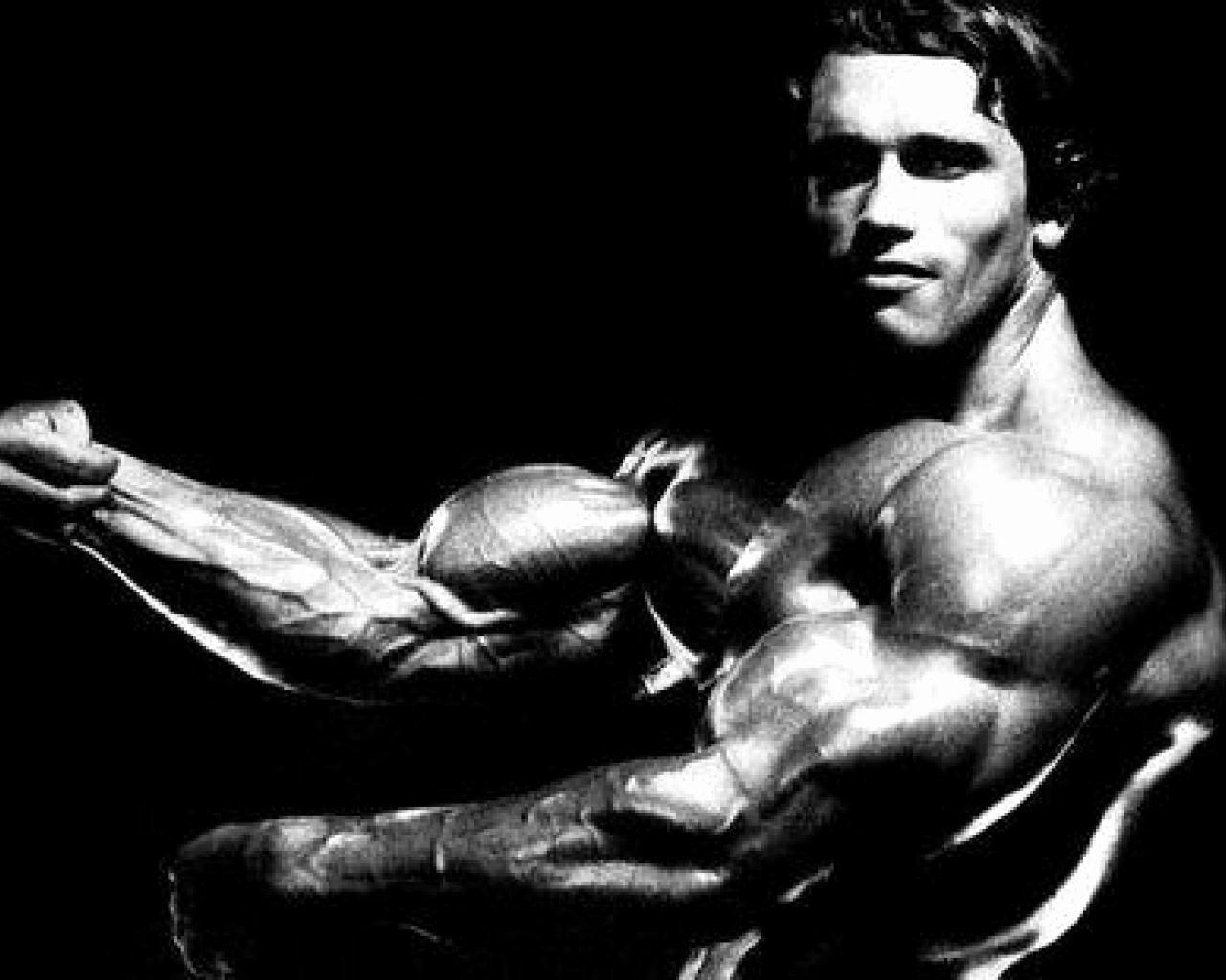 Arnold Schwarzenegger fotka