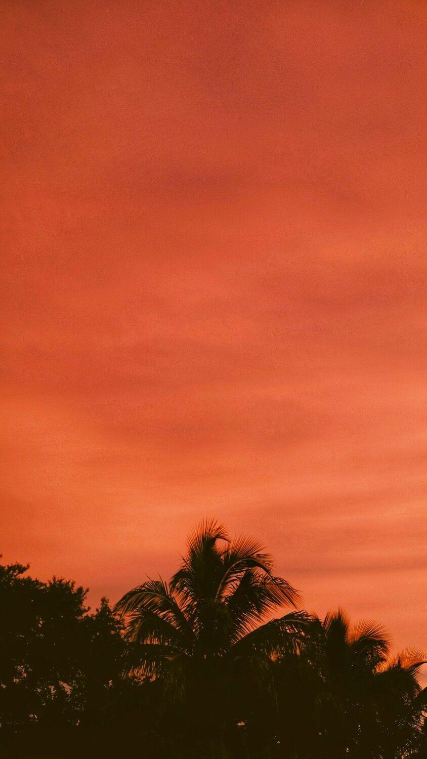 844x1500 History background #History background. Orange wallpaper