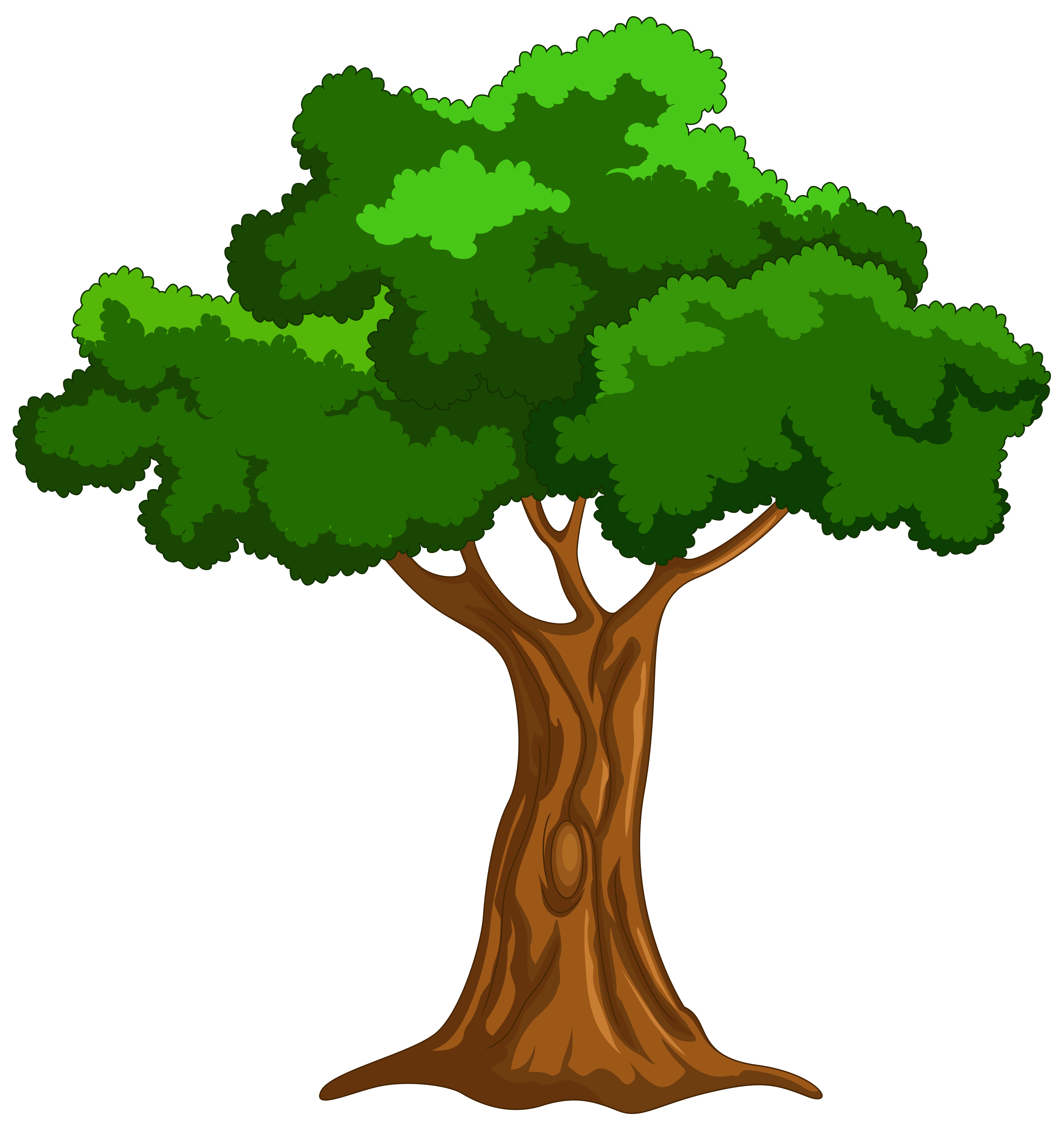 Cartoon Trees Wallpapers - Top Những Hình Ảnh Đẹp