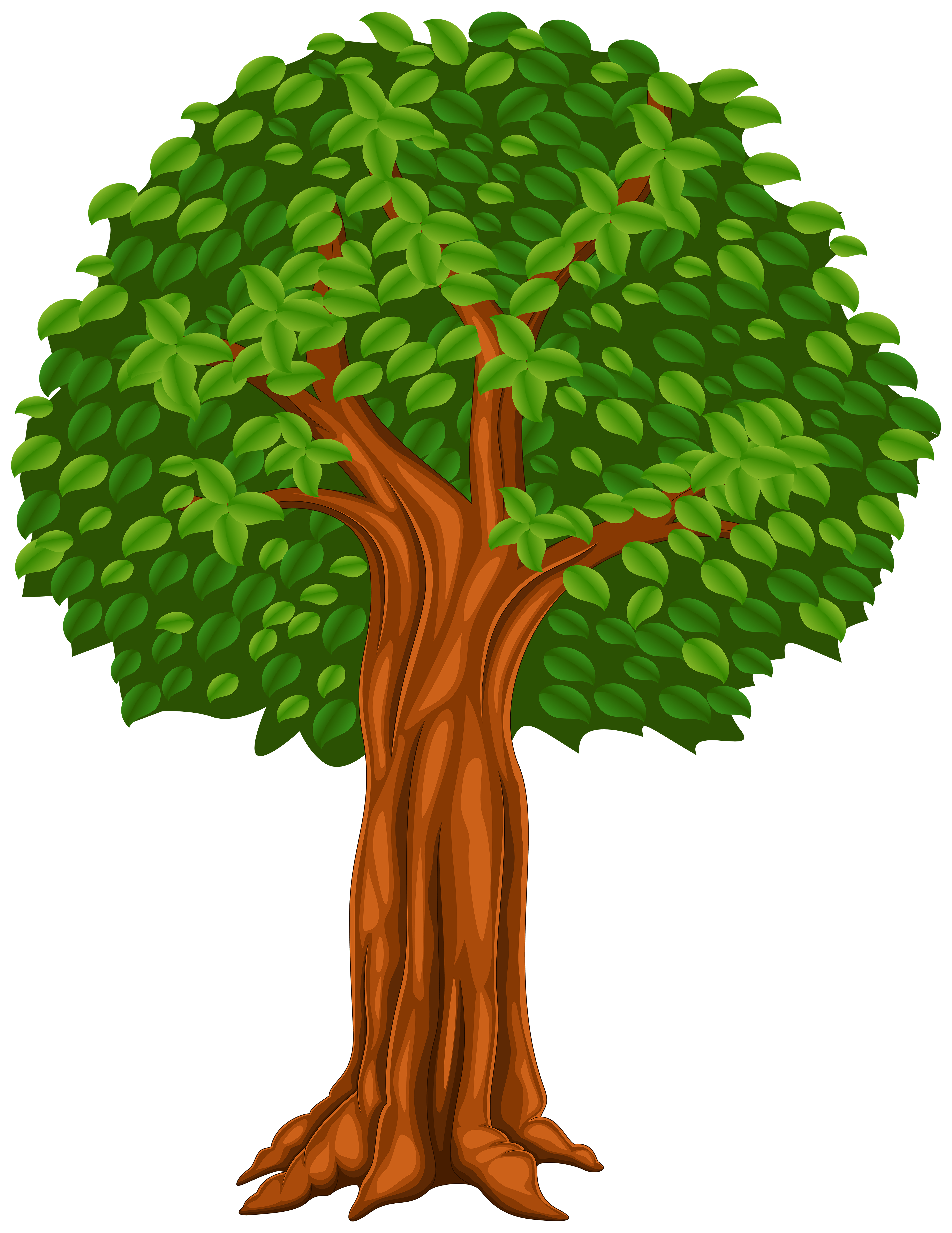 Tree Pictures Cartoon How To Draw A Cartoon Tree In A Few Easy Steps