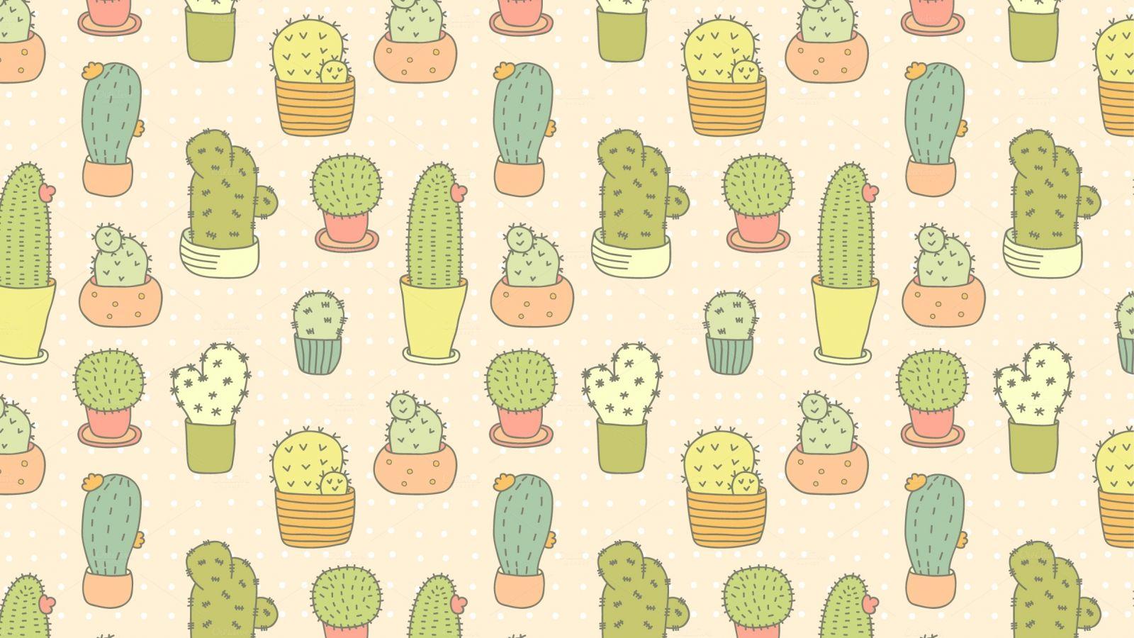 1600x900 Free download cactus ojpg1417367806 [2417x1608] for your Desktop