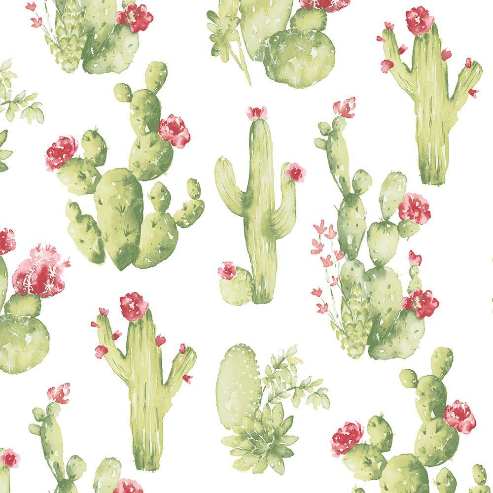 1000x1000 Norwall Cactus Wallpaper CK36630 Home Depot