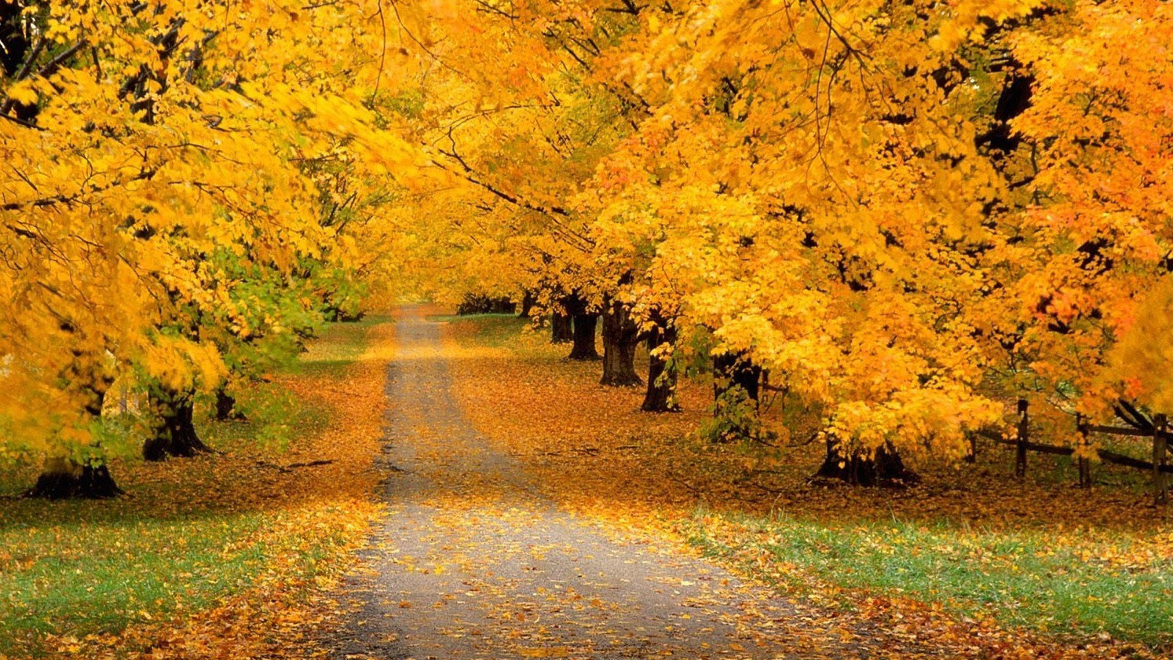 3840x2160 4K Fall Wallpaper