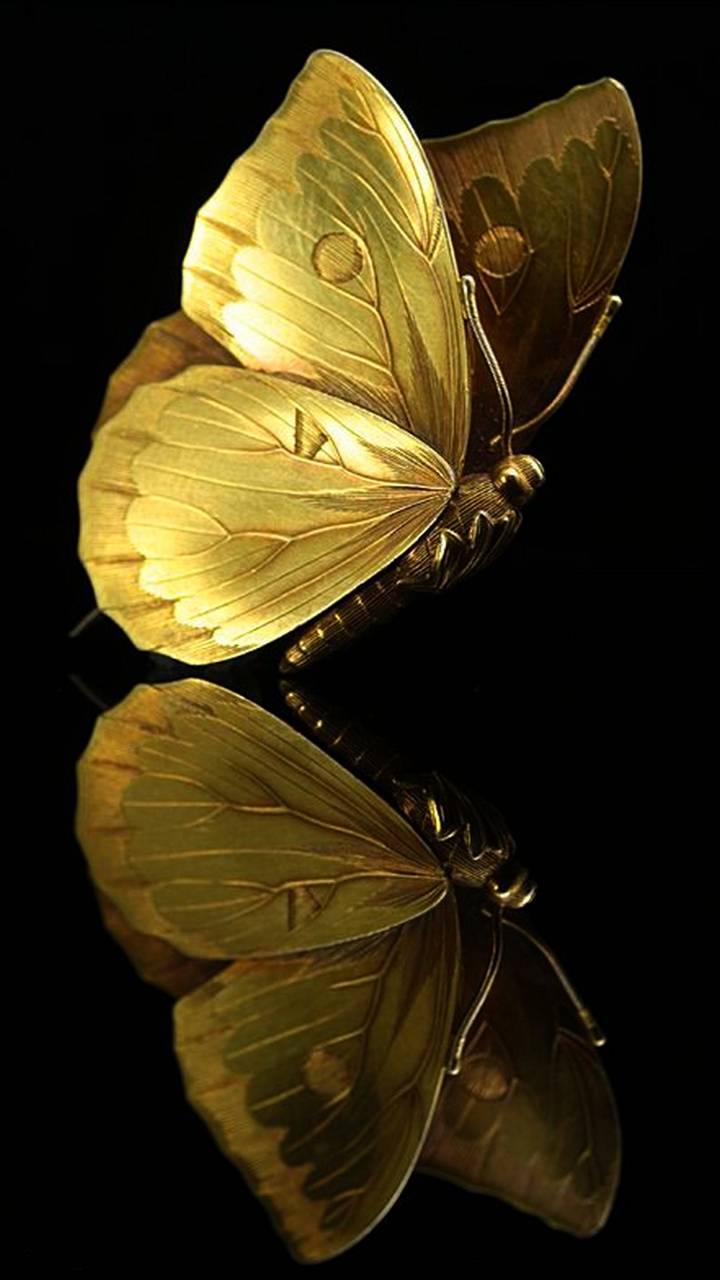 gold butterfly wallpaper