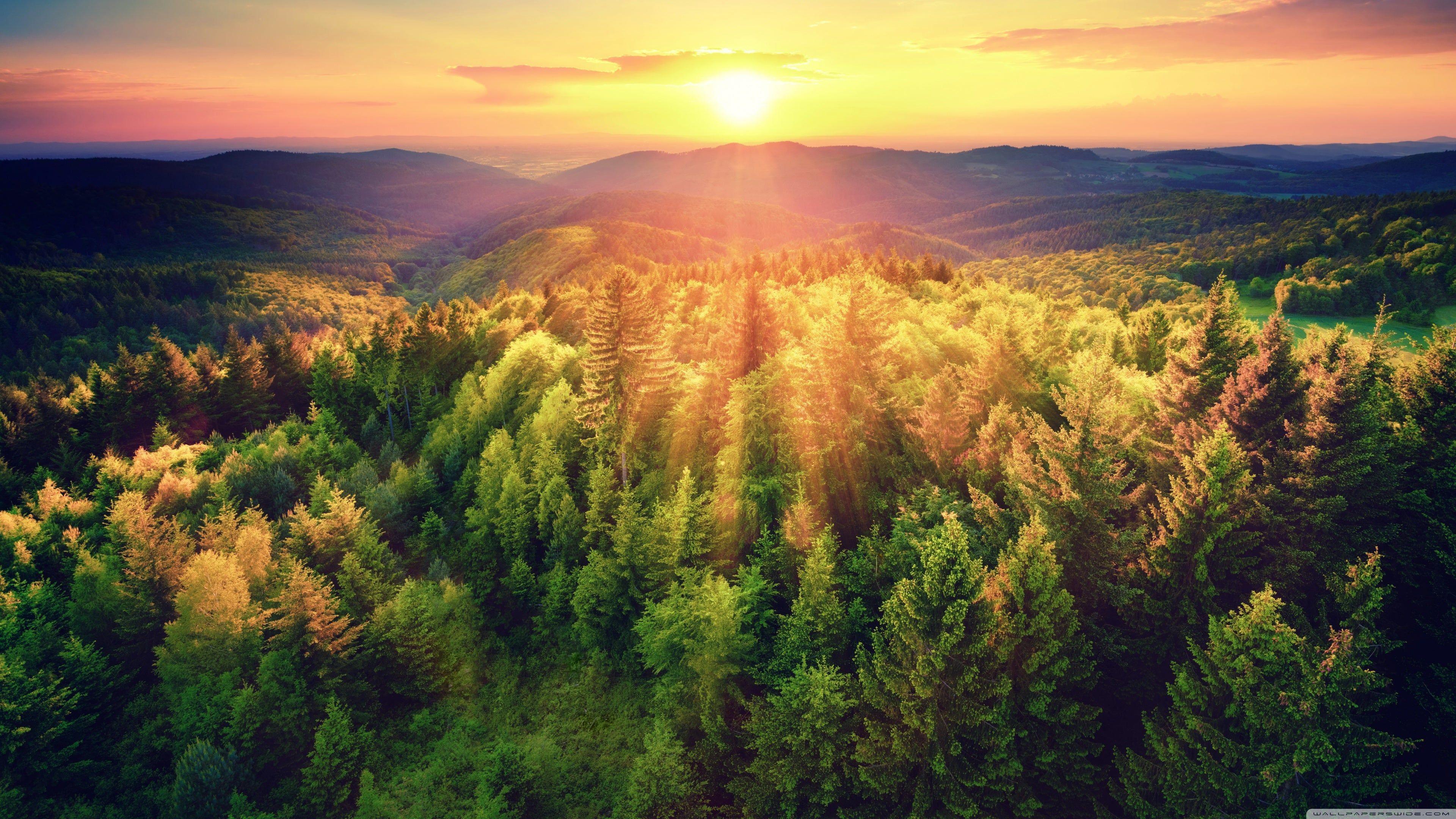 3840x2160 Mountains Woods Sunset 4K wallpaper