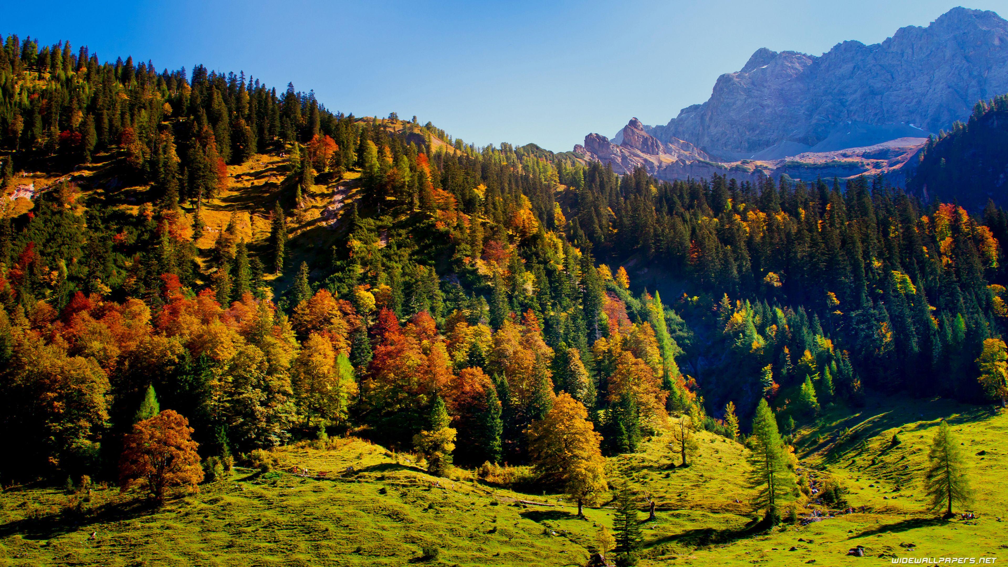 3840x2160 Autumn desktop wallpaper 4K Ultra HD