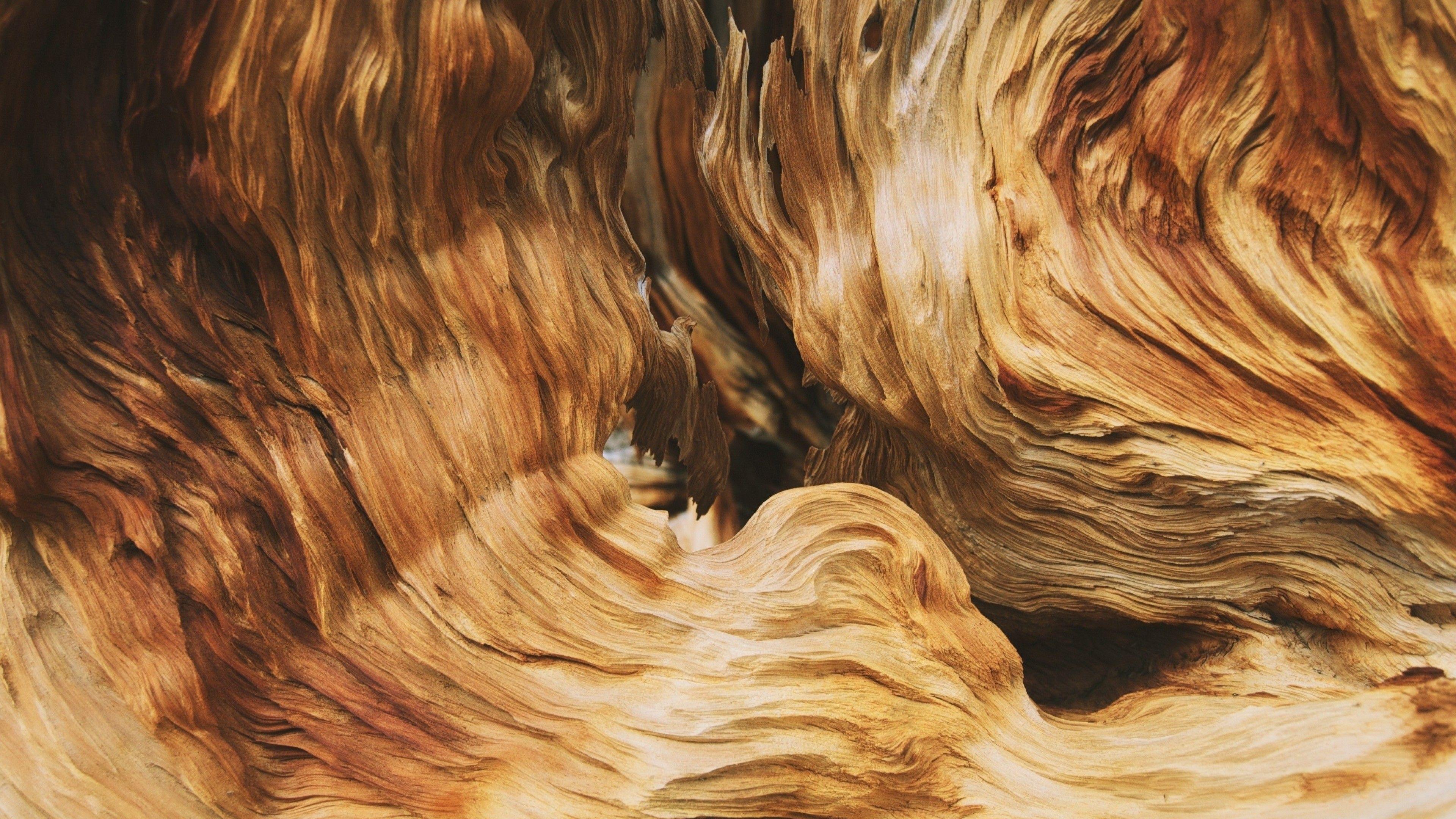 3840x2160 Download 3840x2160 Wood Texture, Wooden Waves, Macro Wallpaper