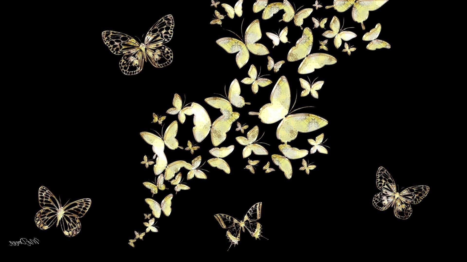 Golden Butterfly Wallpapers - Top Free Golden Butterfly Backgrounds