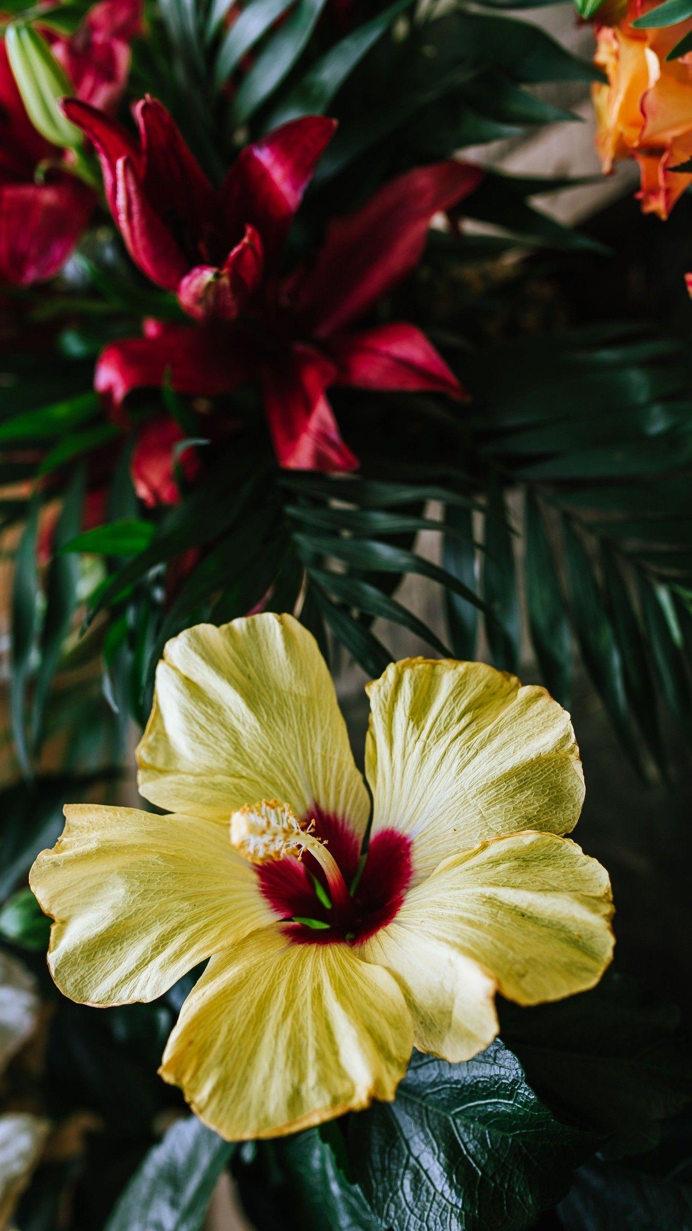1350x2400 Hawaiian Flower Wallpaper