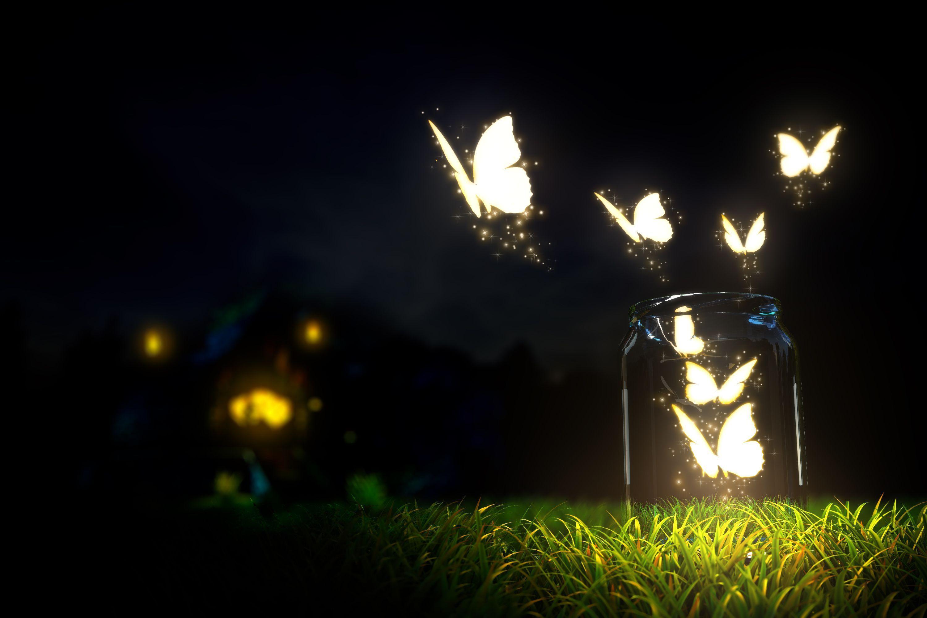 3000x2000 Night Butterfly Wallpaper