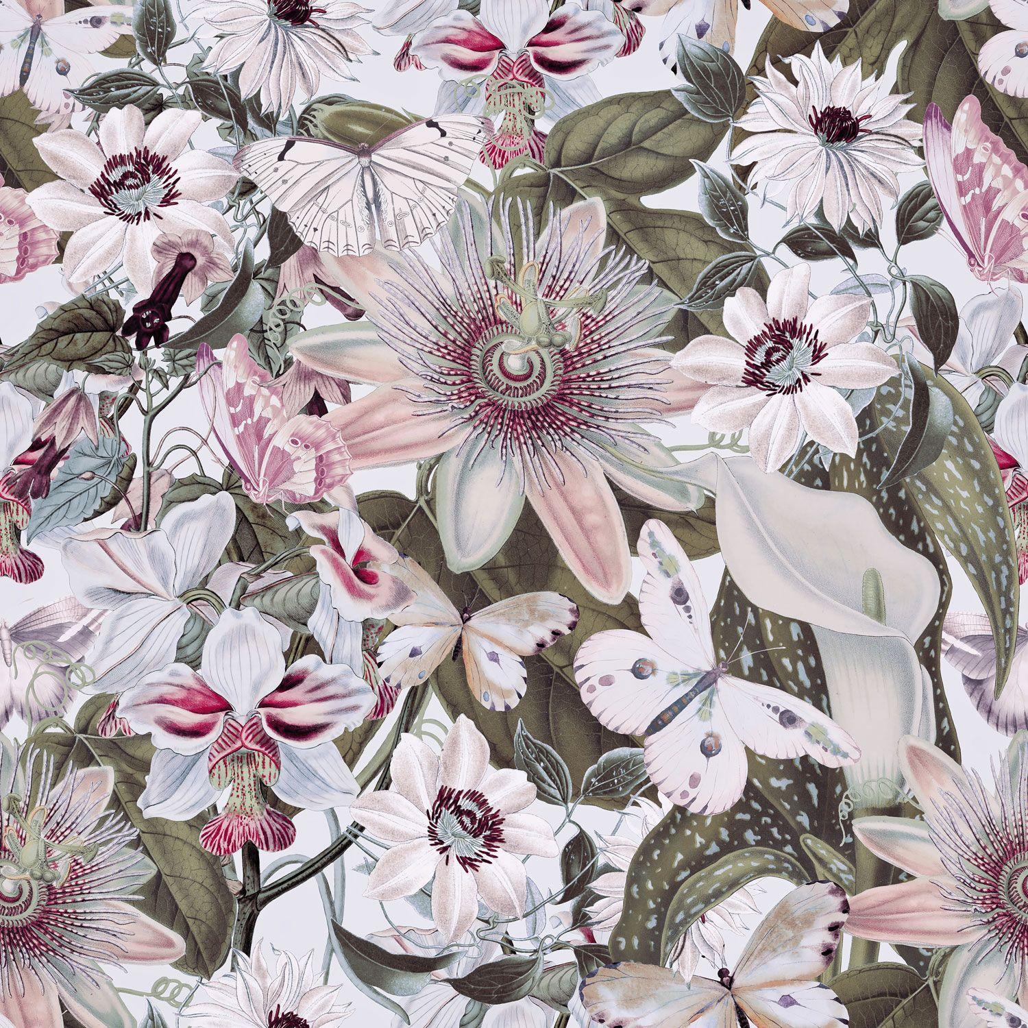 1500x1500 Tropical Flowers Wallpaper.com & Photo