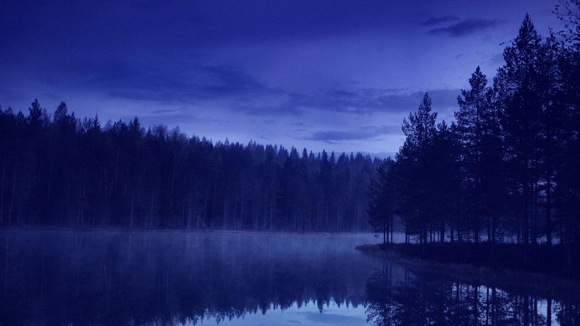 1920x1080 Download Wallpaper 1920x1080 water, forest, beach, night