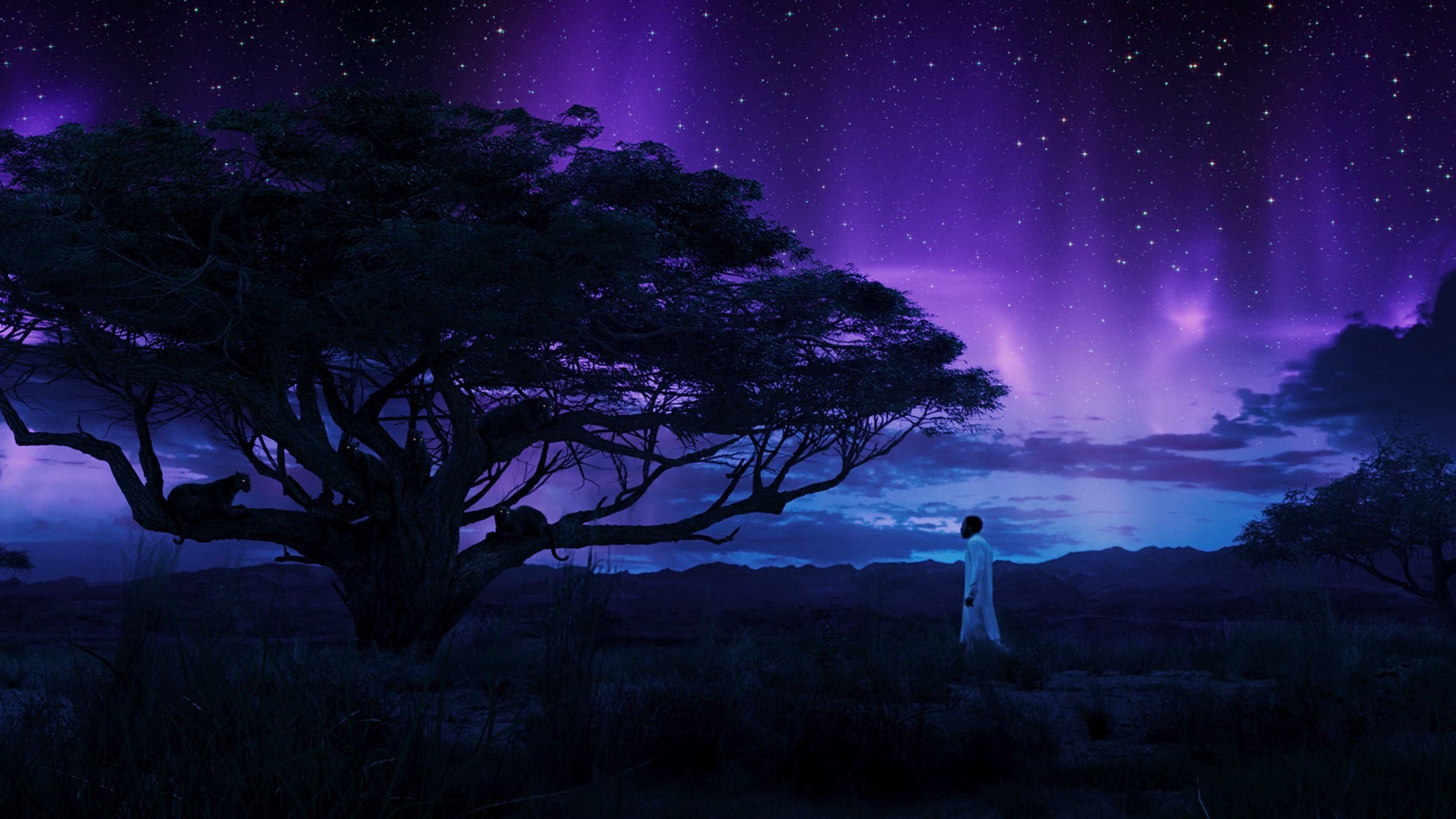 3046x1713 Black Panther Chadwick Boseman In Field With Panthers
