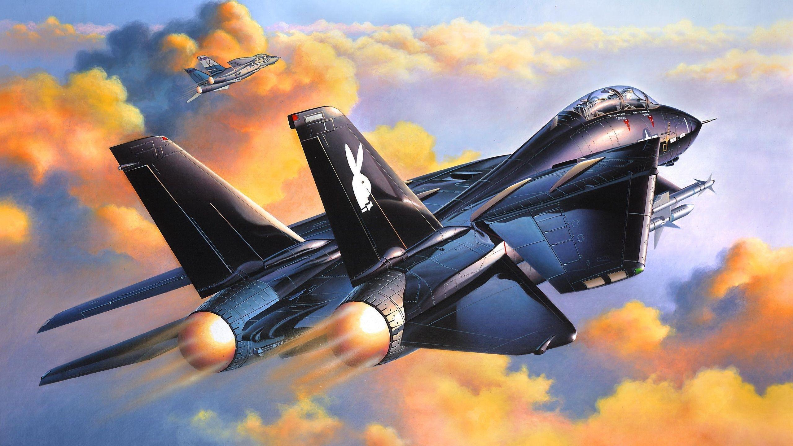 2560x1440 F 14A Black Tomcat Desktop Wallpaper