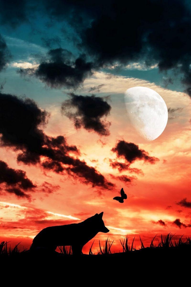 800x1200 Download wallpaper 800x1200 wolf, silhouette, dark, moon, clouds