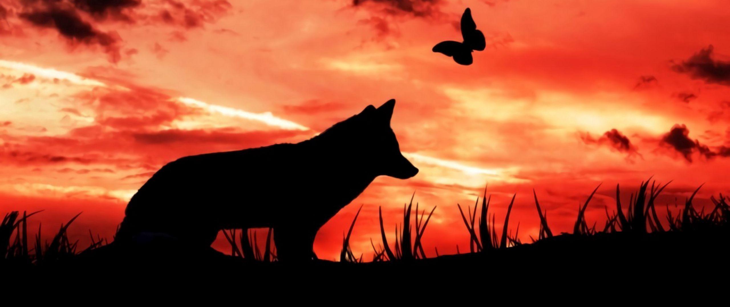 2560x1080 Download wallpaper 2560x1080 wolf, silhouette, dark, moon, clouds