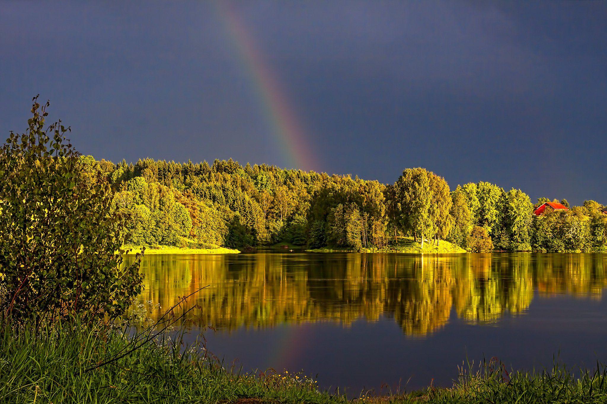 Над лесной. Белорусия Лесные озёра Радуга. Радуга в лесу. Река и Радуга. Радуга над озером.