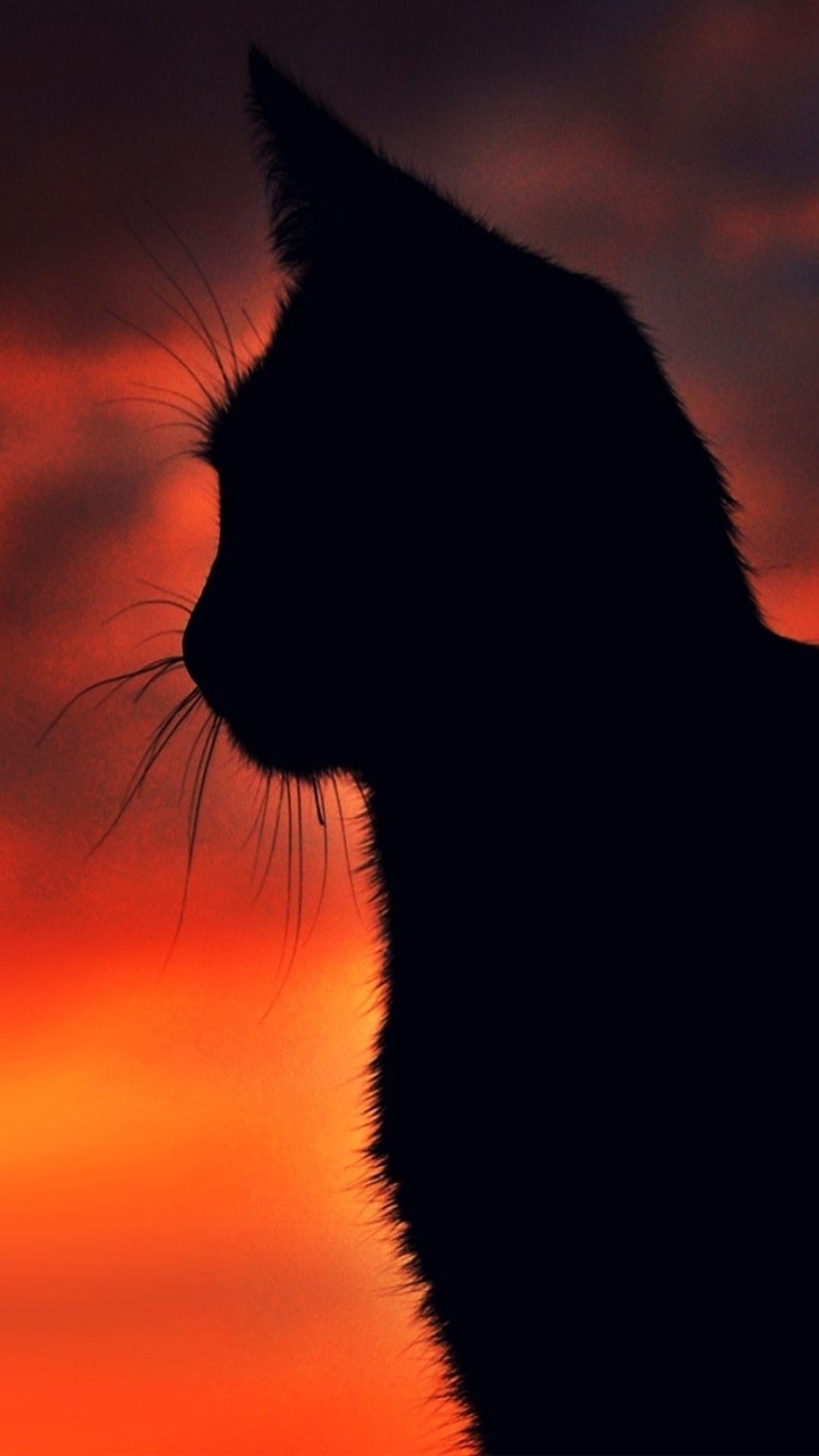 Animal Sunset Wallpapers Top Free Animal Sunset Backgrounds