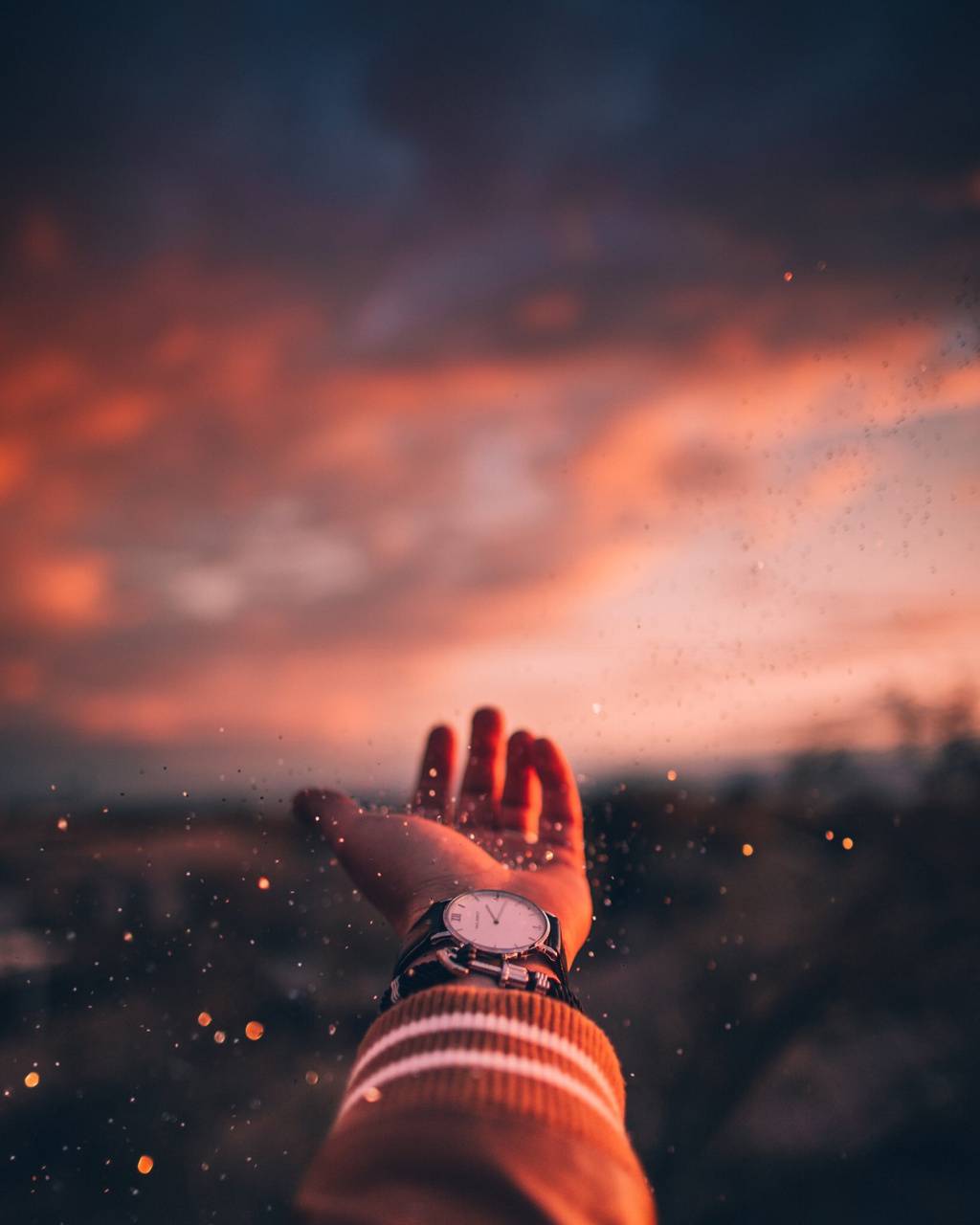 1024x1280 Sunset Time wallpaper