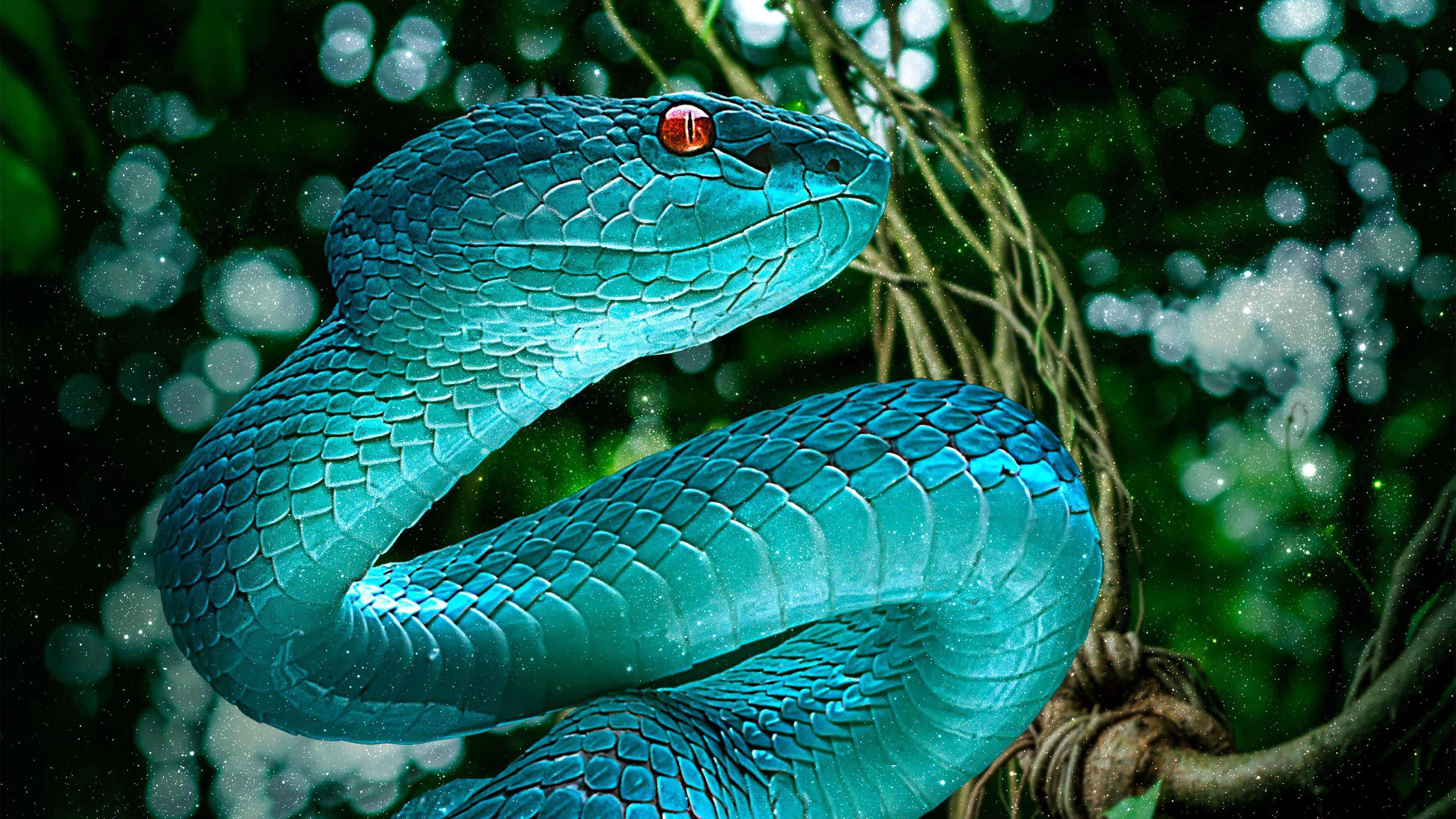 blue purple viper snake