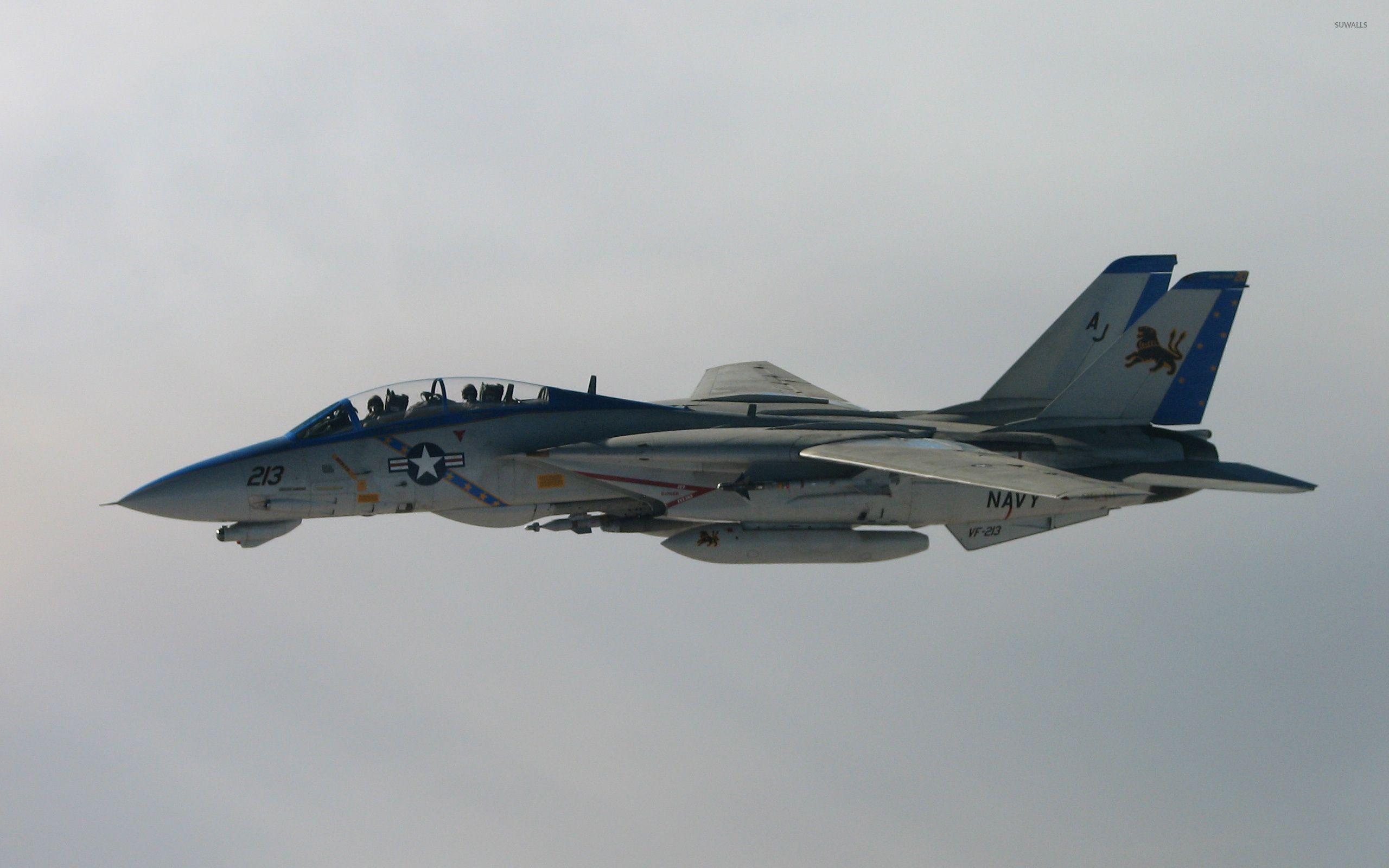 2560x1600 Grumman F 14 Tomcat [3] Wallpaper Wallpaper