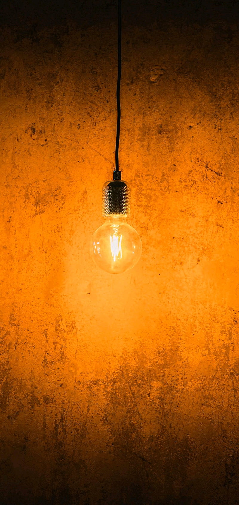 800x1689 HD bulb wallpaper