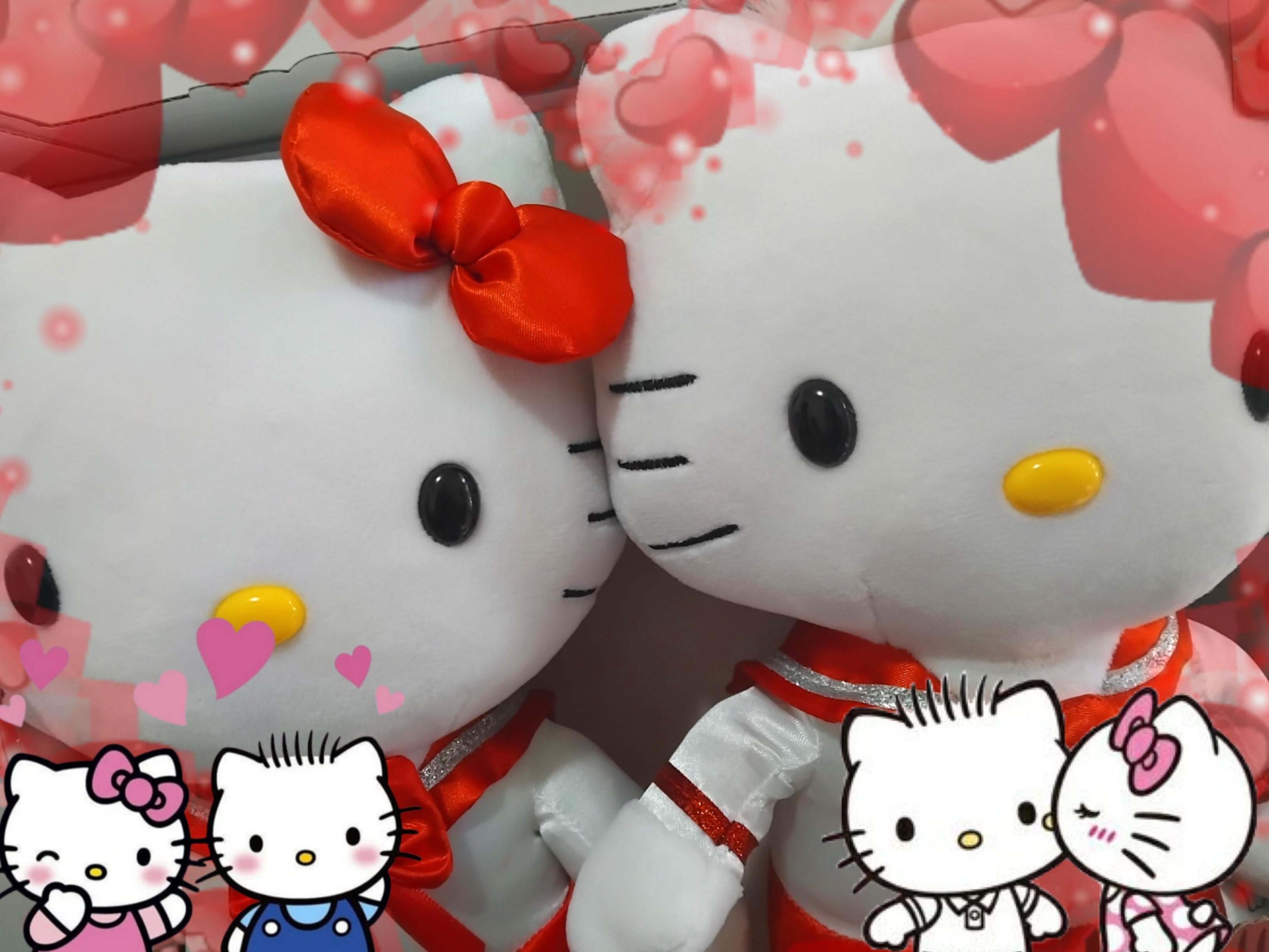 3265x2449 Happy Valentines day! Hello Kitty and Dear Daniel Valentines day plush set!