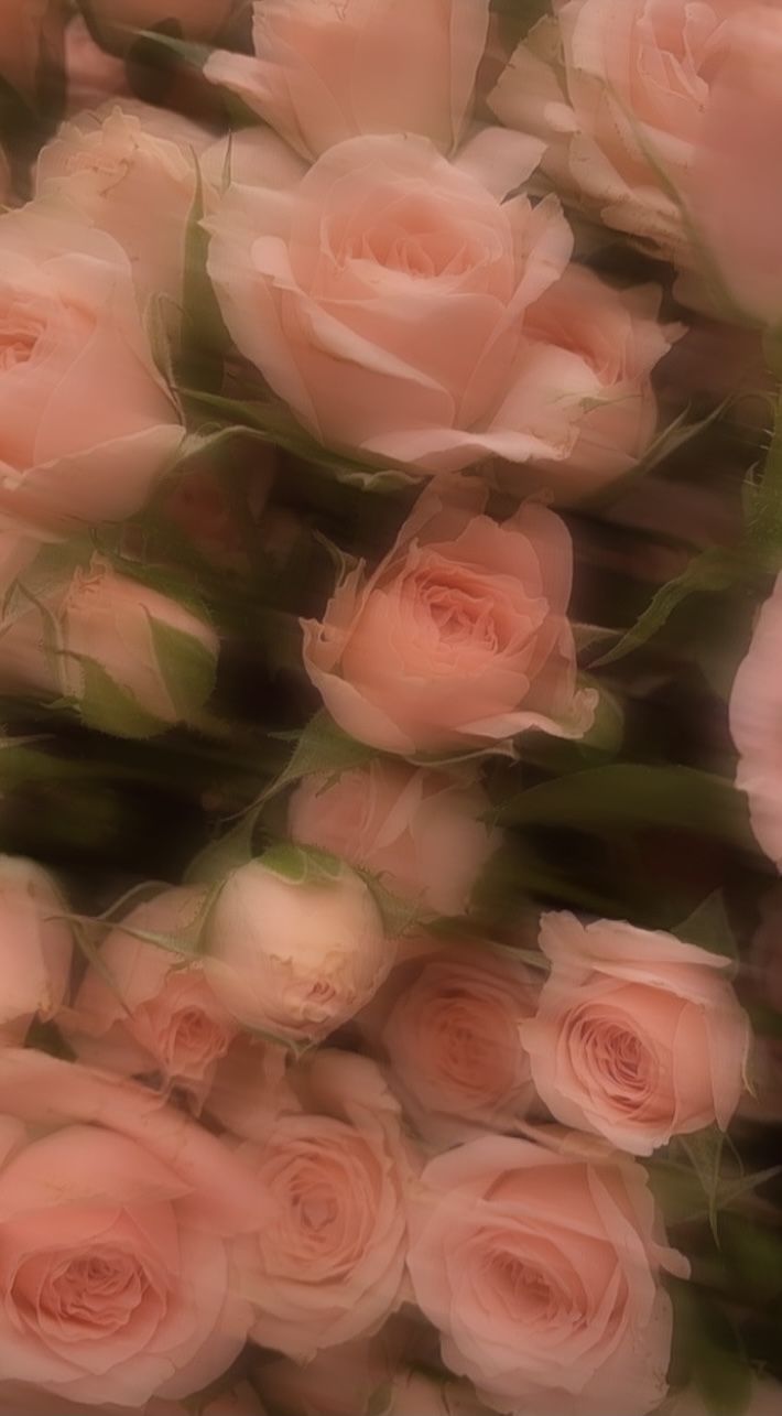 710x1285 Wallpaper Aesthetic