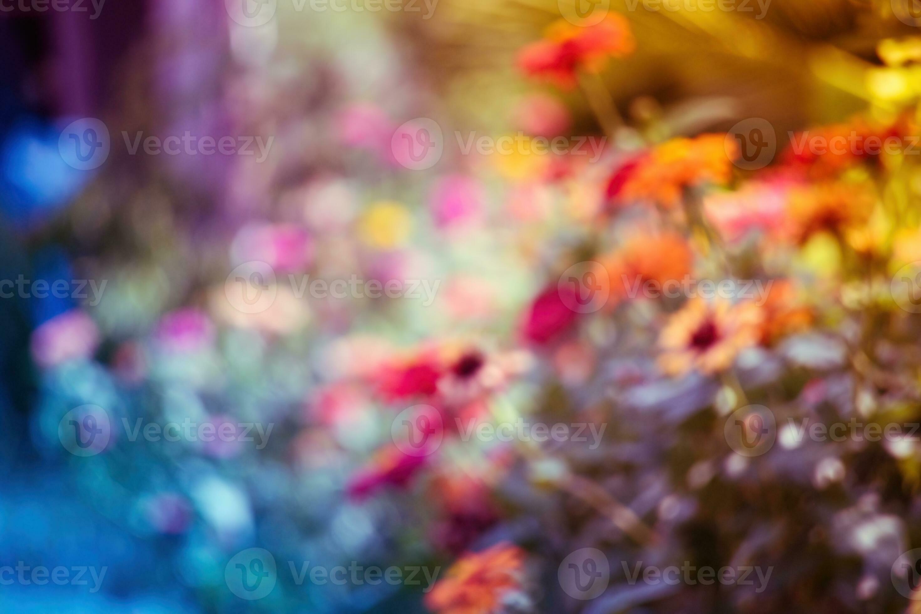 2940x1960 Blurred colorful flowers background.blurry flowers in a summer garden