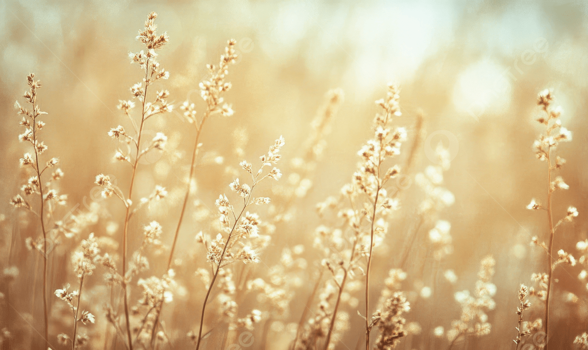 1200x715 A Close Up Of Some Flowers In The Field Macro Photography Heather Plants Brown And Beige Blurry Background Bokeh Effect, Flowers, Field, Macro Photography Background Image And Wallpaper for Free Download