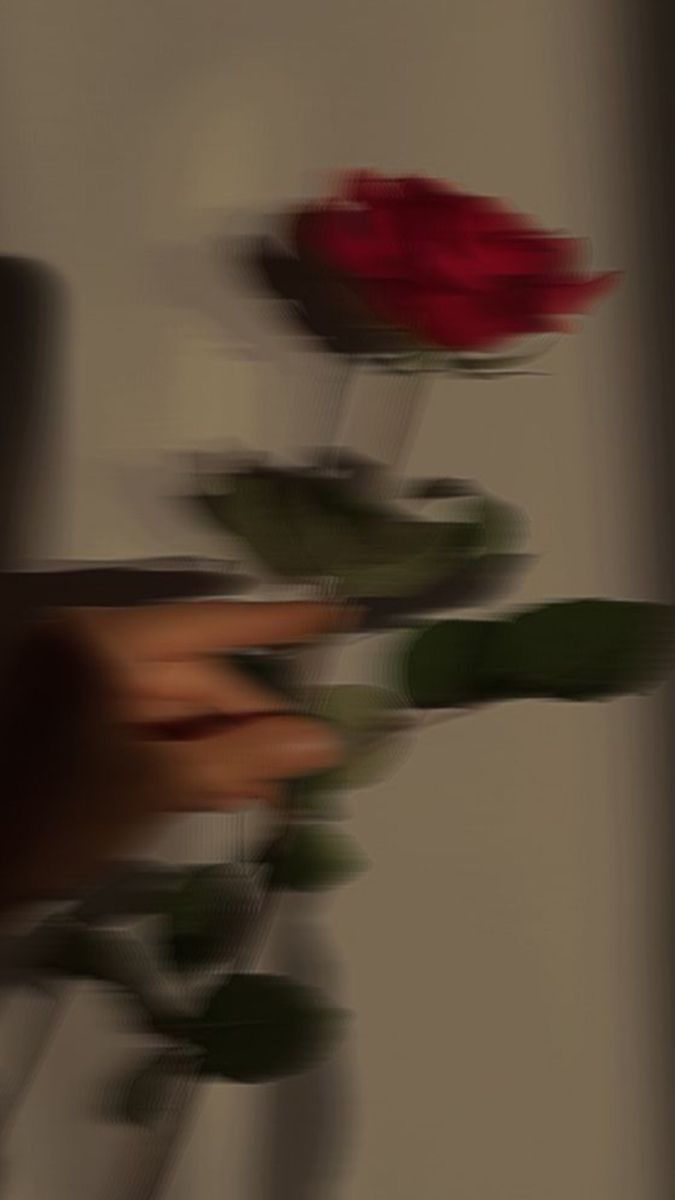 675x1200 Rose Papillon. Blurry rose wallpaper, Blurry flower picture, Blurry flower aesthetic wallpaper
