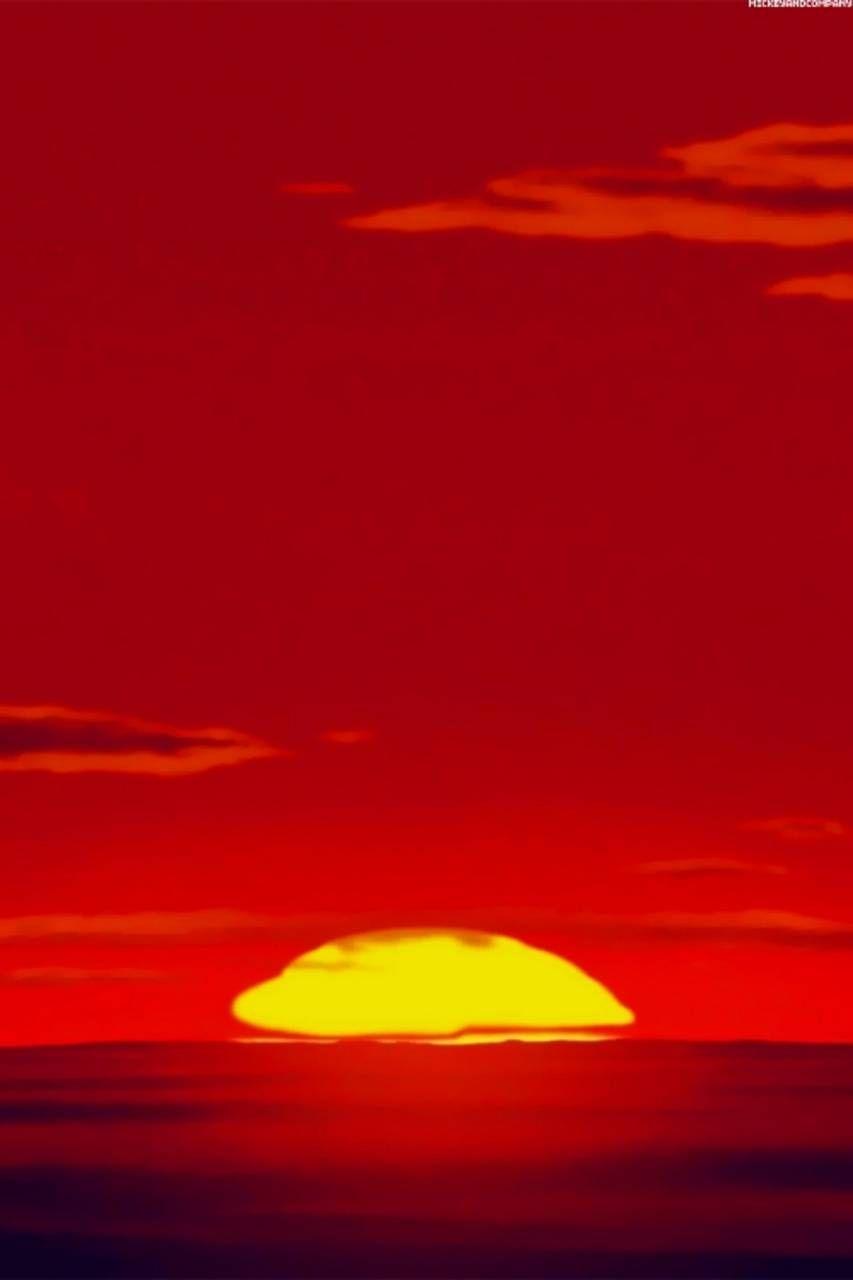 853x1280 Lion king sunset wallpaper