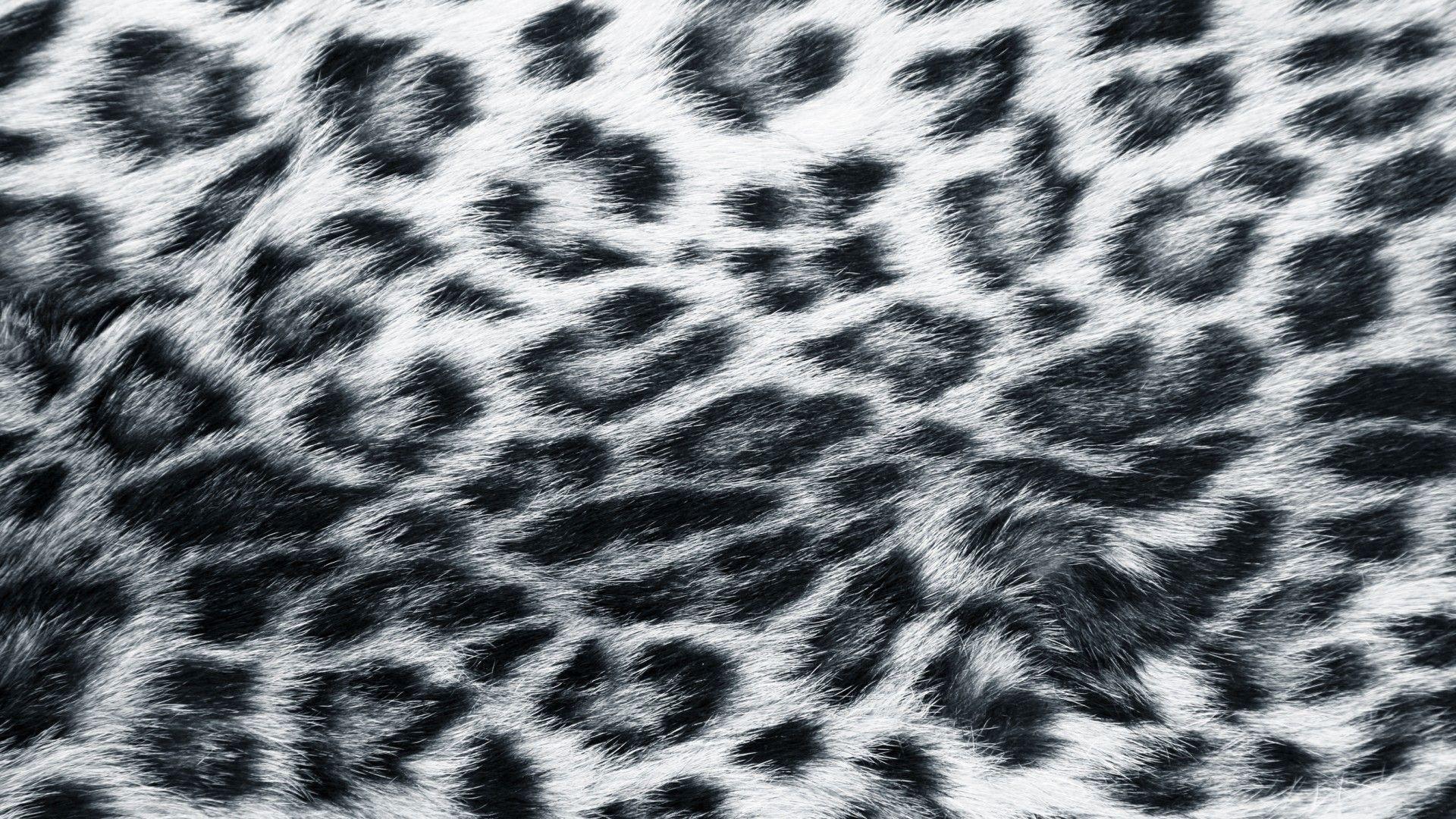 Snow Leopard Print Wallpapers Top Free Snow Leopard Print Backgrounds 