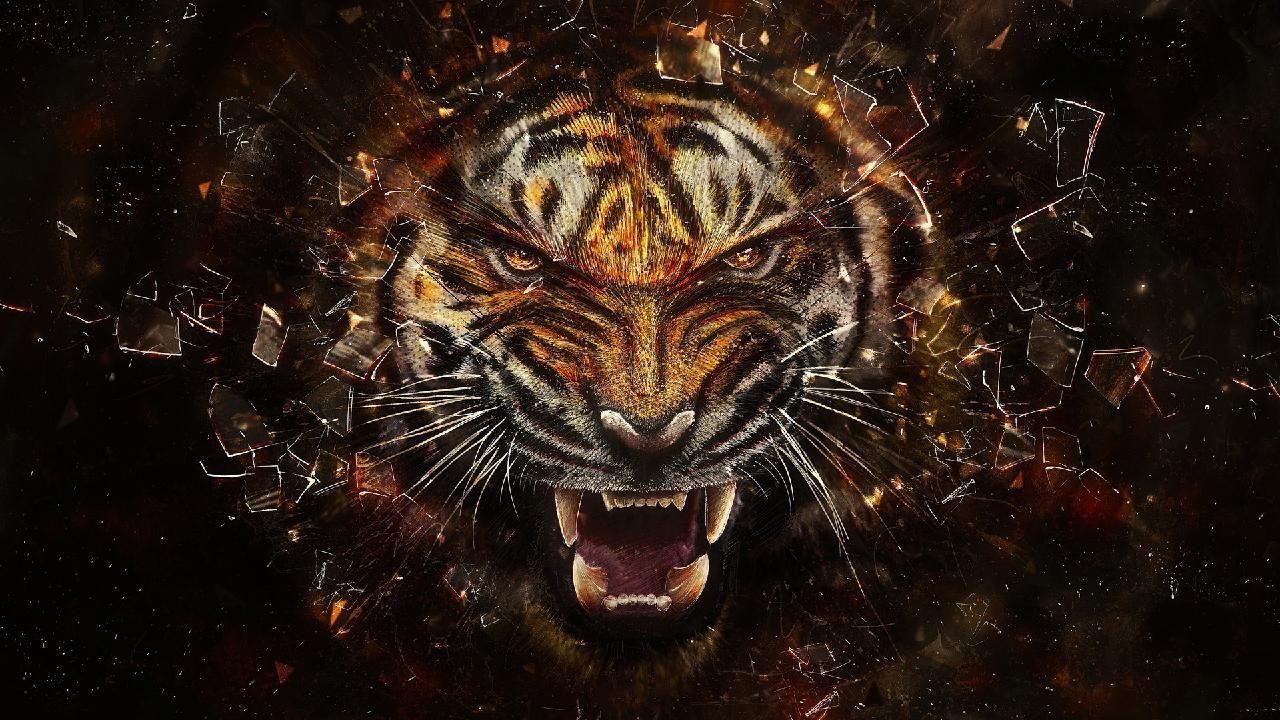 3d Wallpaper Download Tiger Image Num 13