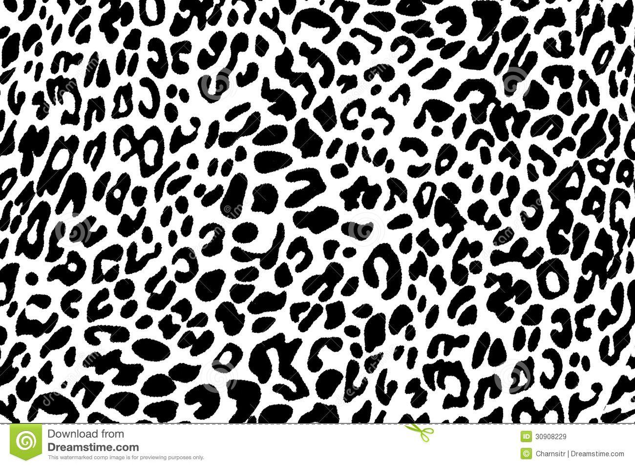 Black and White Animal Print Wallpapers - Top Free Black and White ...