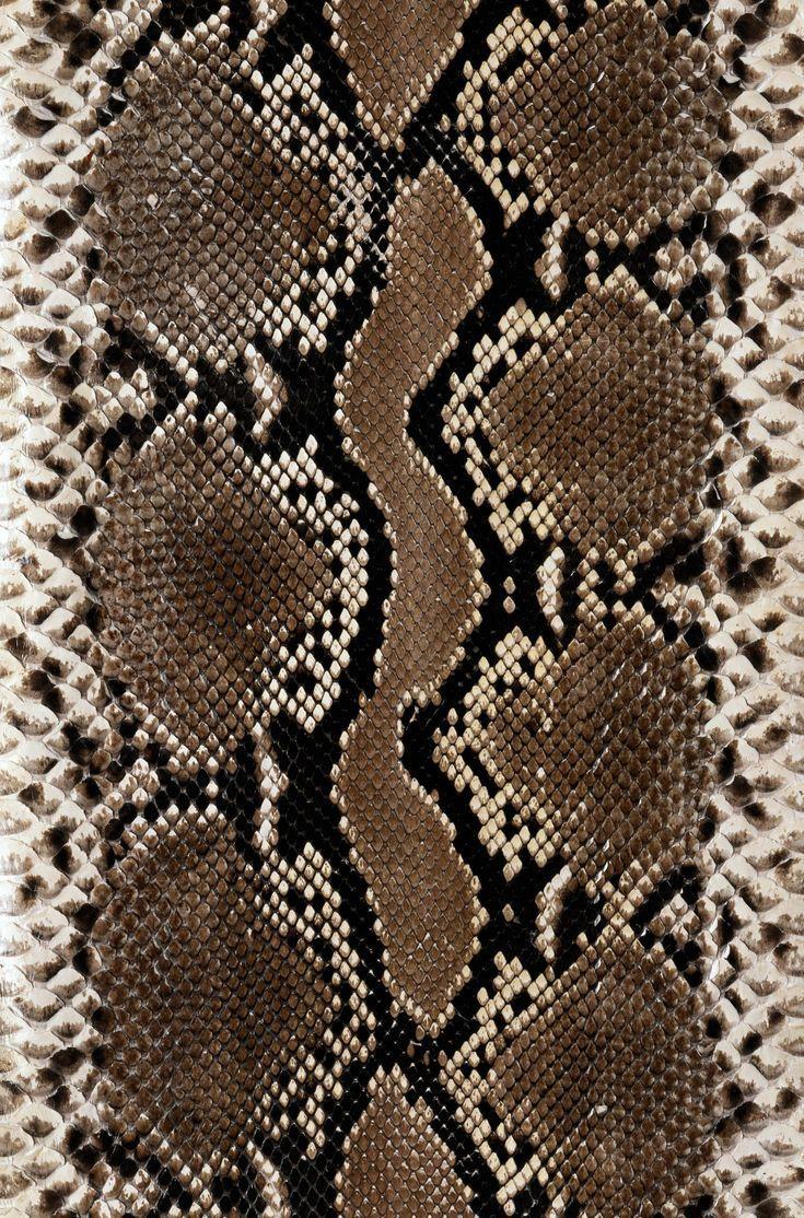 735x1114 Snake Skin もっと見る. Animal print wallpaper, Skin textures