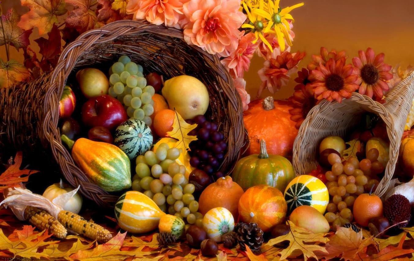 Thanksgiving Cornucopia Wallpapers - Top Free Thanksgiving Cornucopia ...