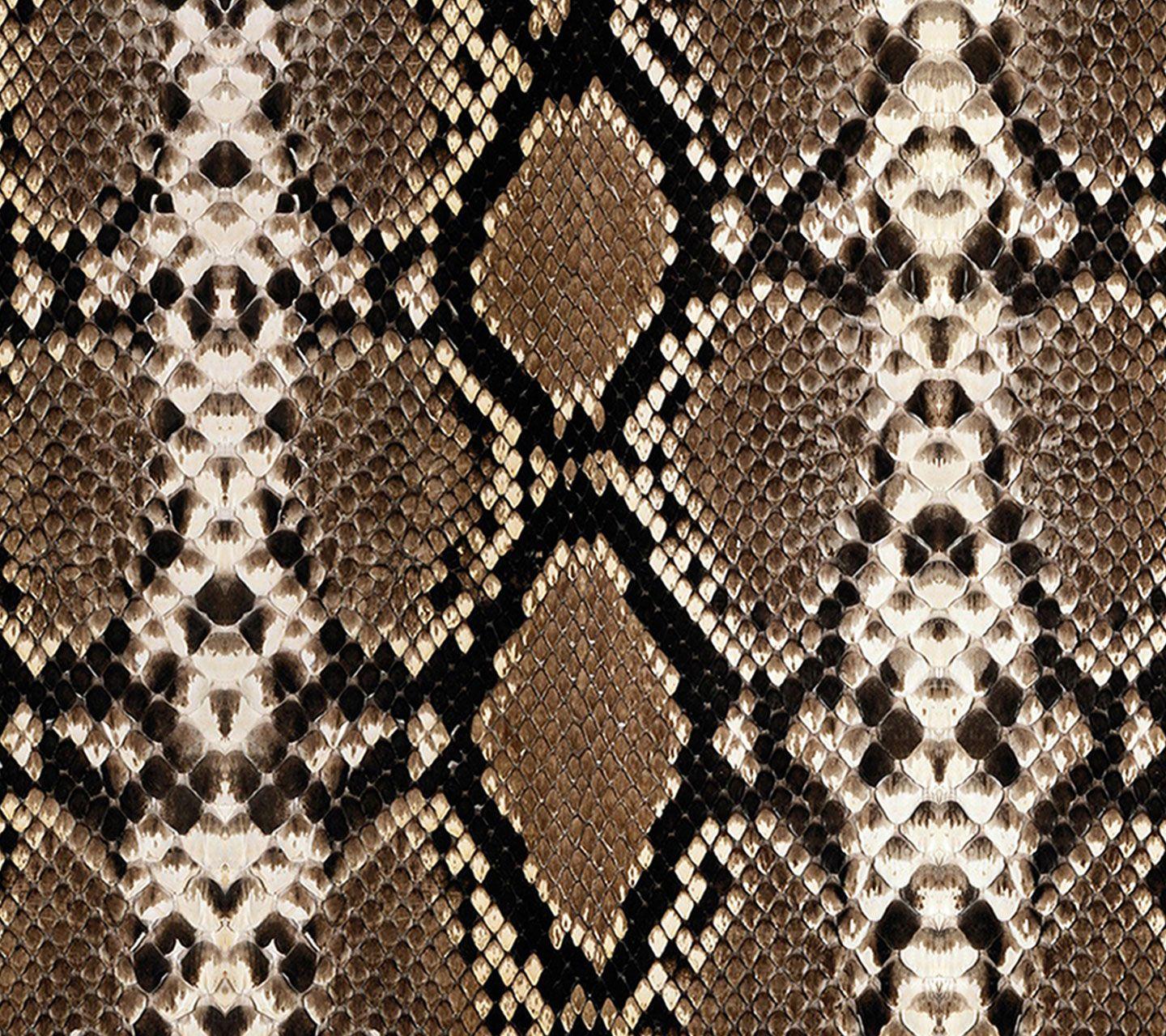 Snake Print Wallpapers - Top Free Snake Print Backgrounds - WallpaperAccess