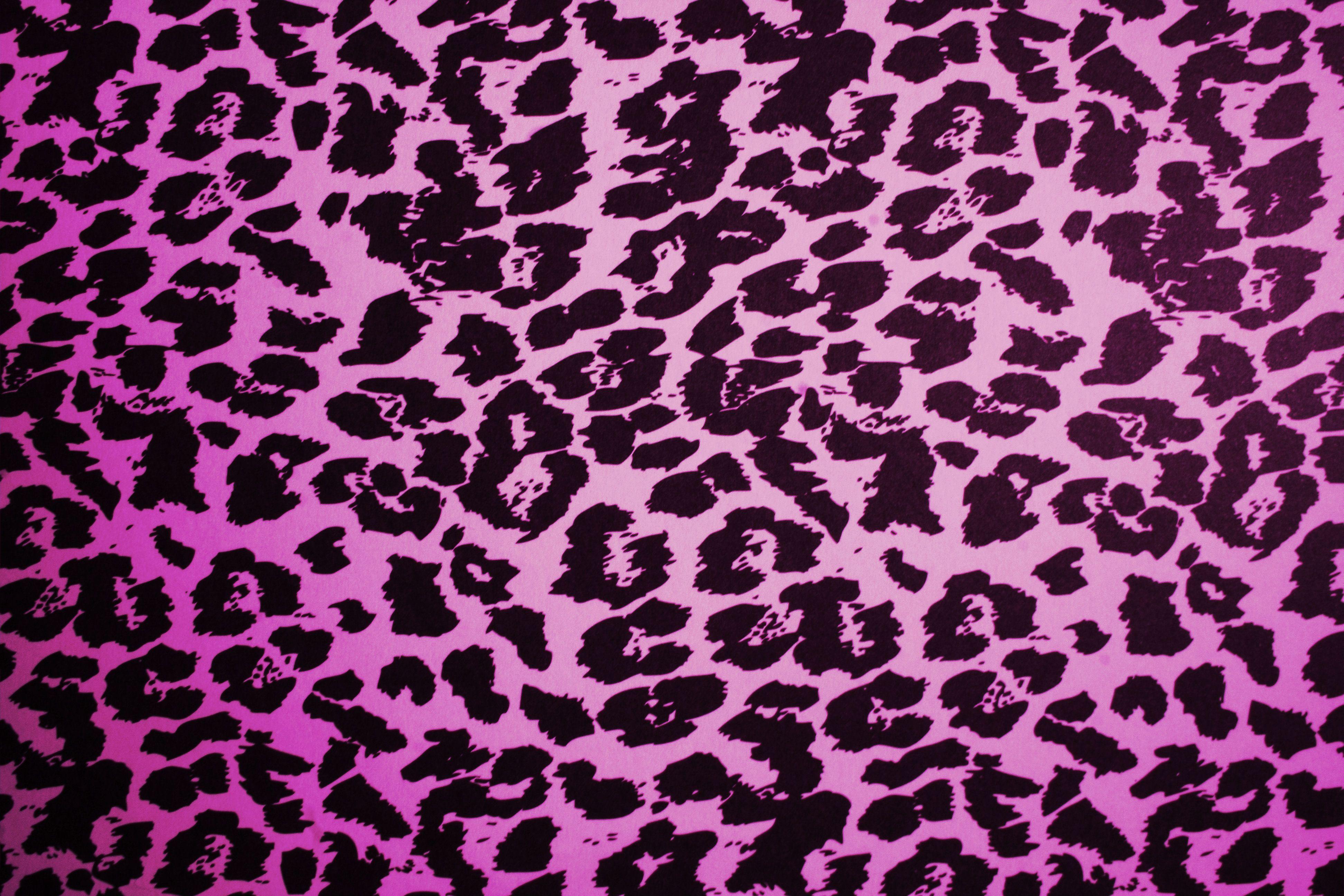 3888x2592 Pink Animal Print Leopard Texture By Dyingbeautystock 1686828 Wallpaper wallpaper