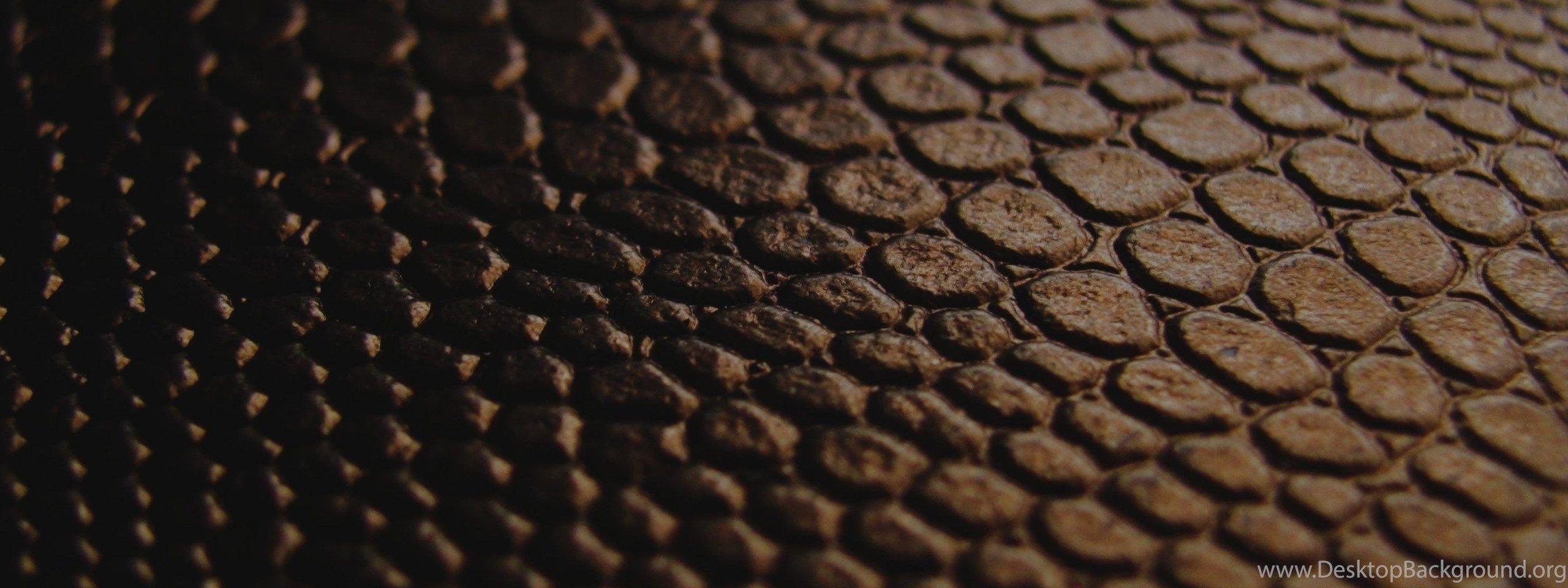 2560x960 Snake Skin 2880x1800 HD Wallpaper Desktop Background