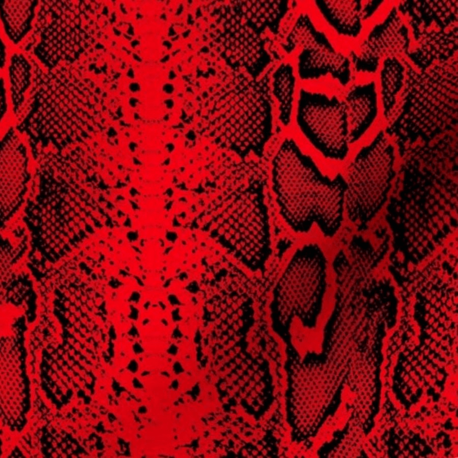 Snake Print Wallpapers - Top Free Snake Print Backgrounds - WallpaperAccess