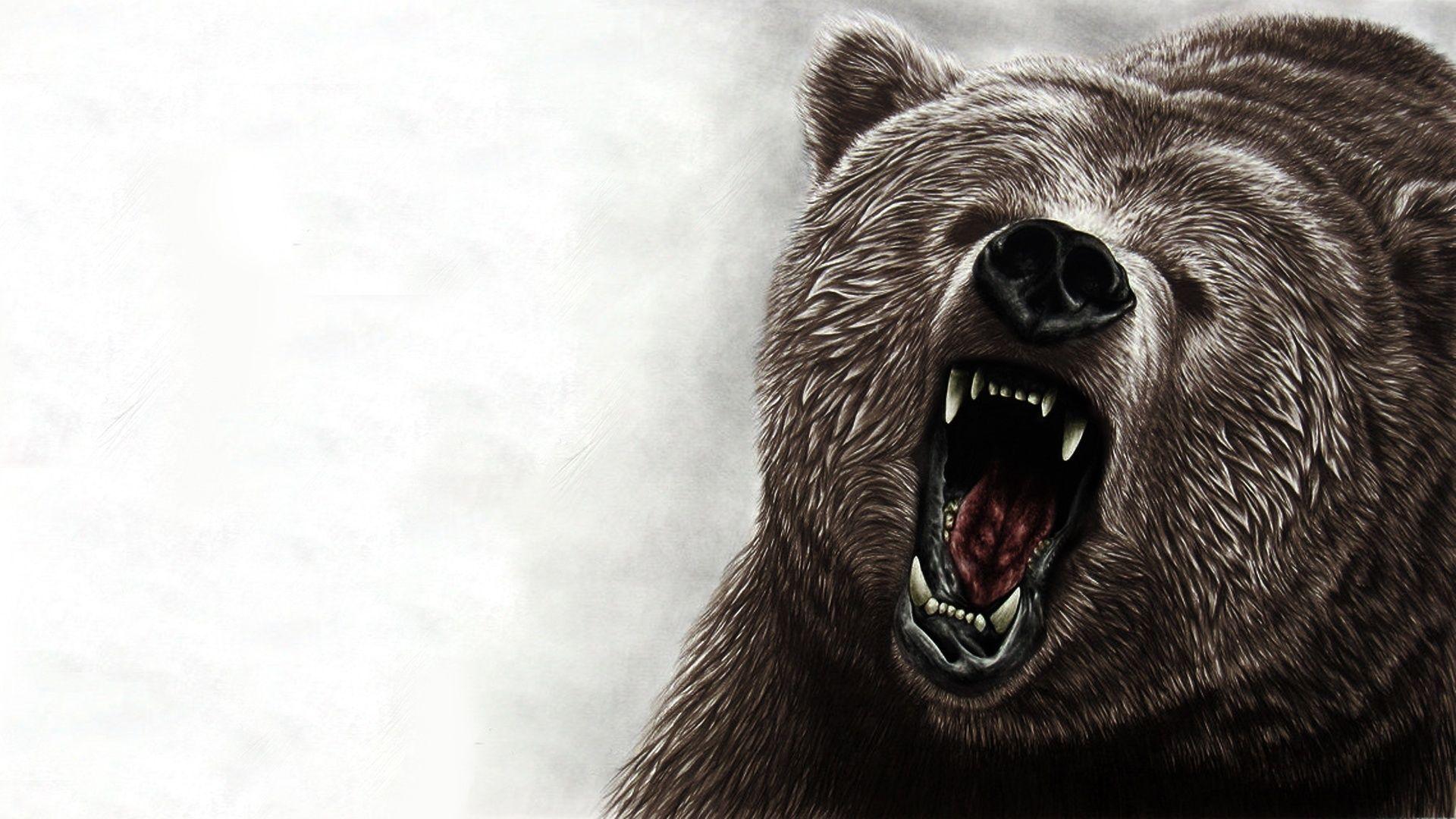 1920x1080 Bear Wallpaper
