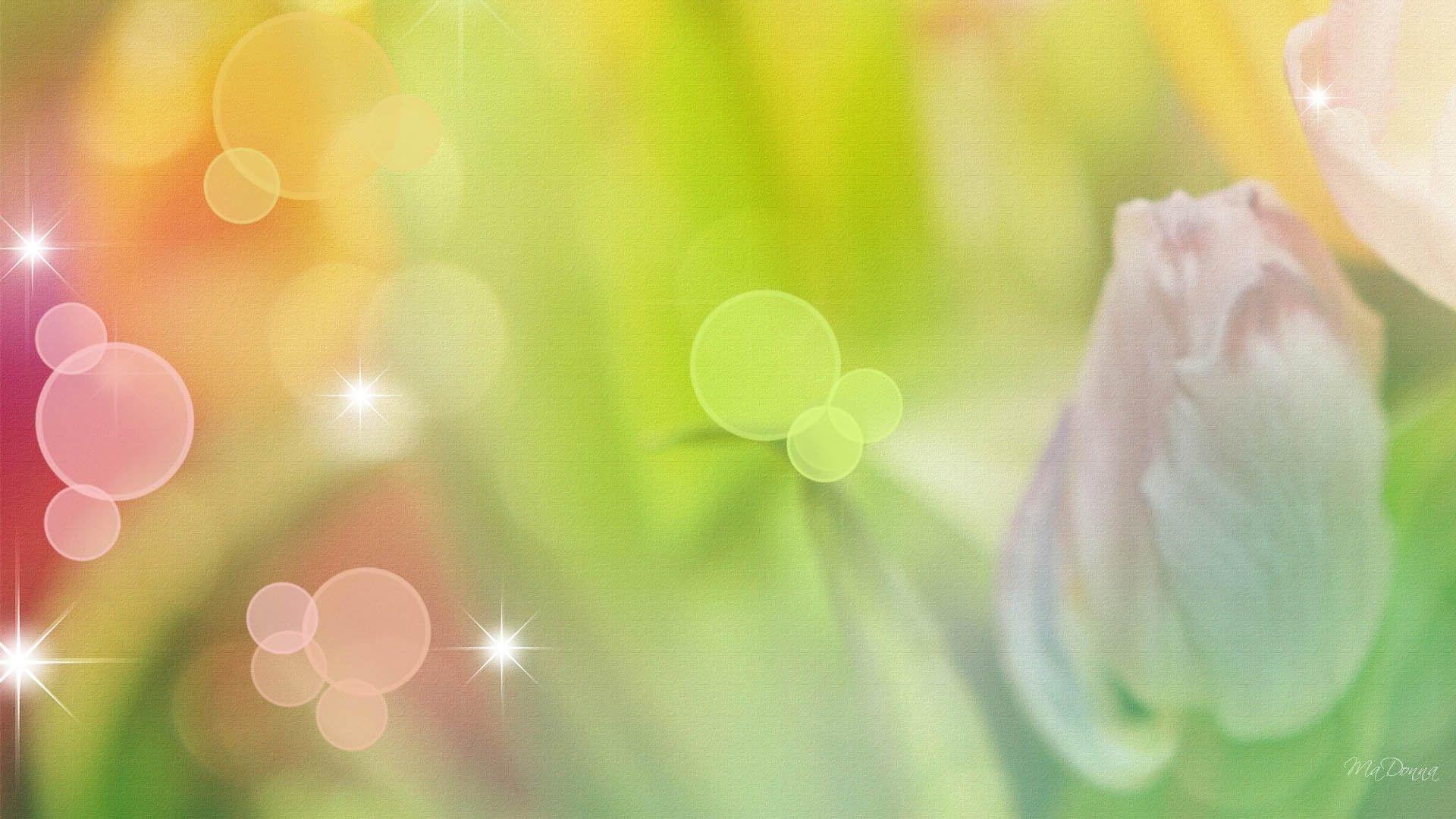 1920x1080 Flowers: Spring Springing Copy Flowers Firefox Persona Tulips
