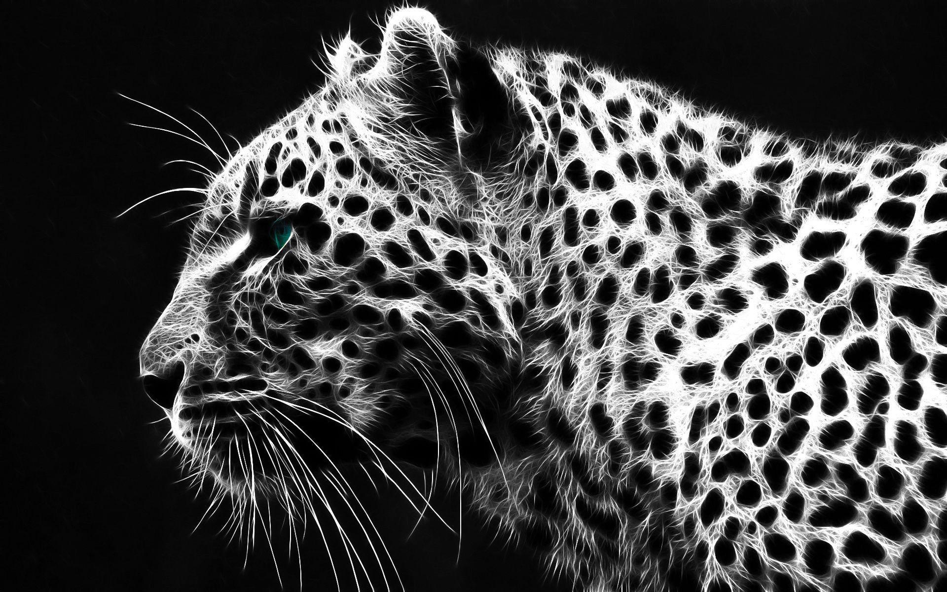 Black And White Cheetah Wallpaper