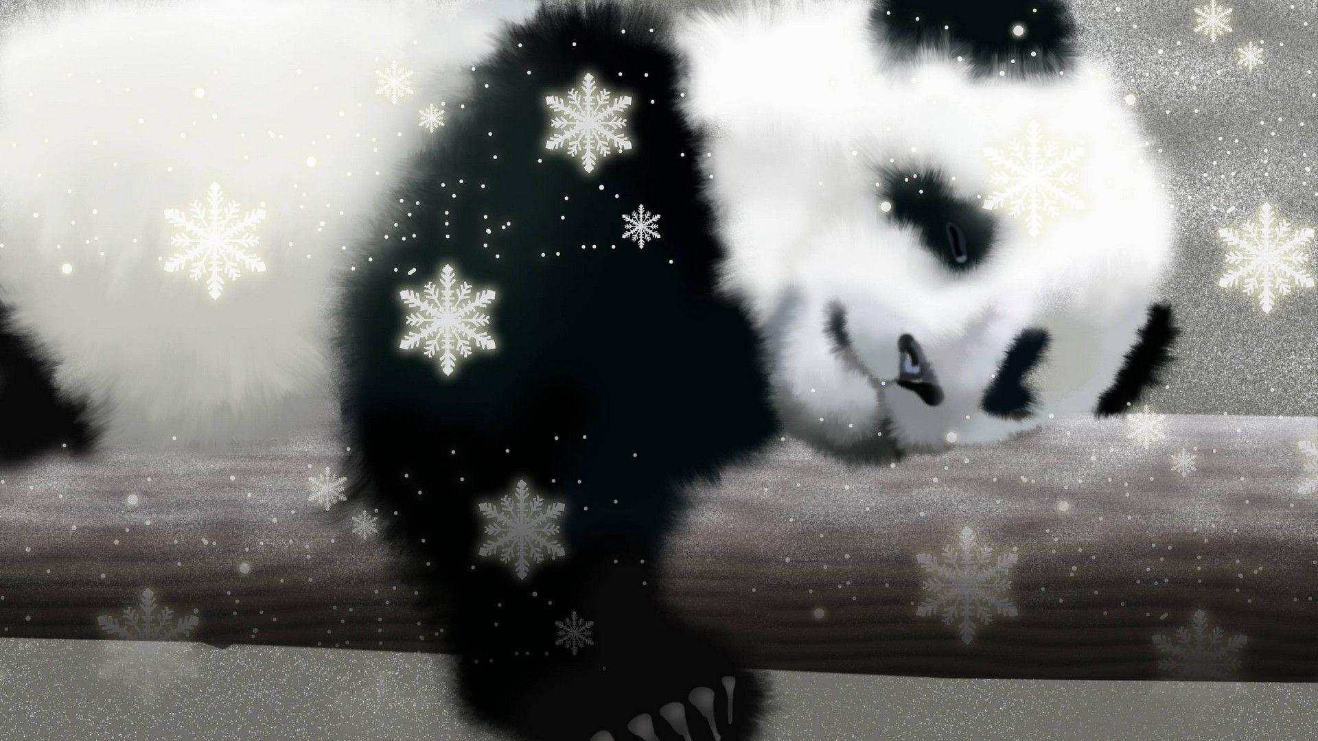 1920x1080 Cute Panda Bear Wallpaper. Panda bears wallpaper, Panda bear