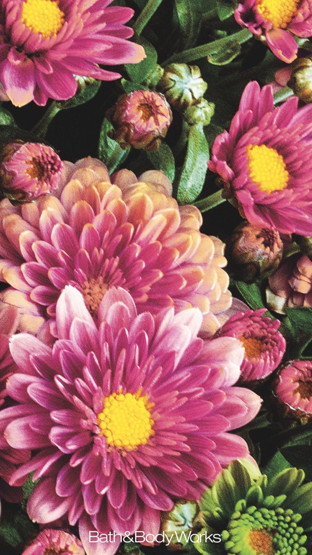 1080x1920 Fall Florals iPhone Wallpaper. Flower wallpaper, Wallpaper s