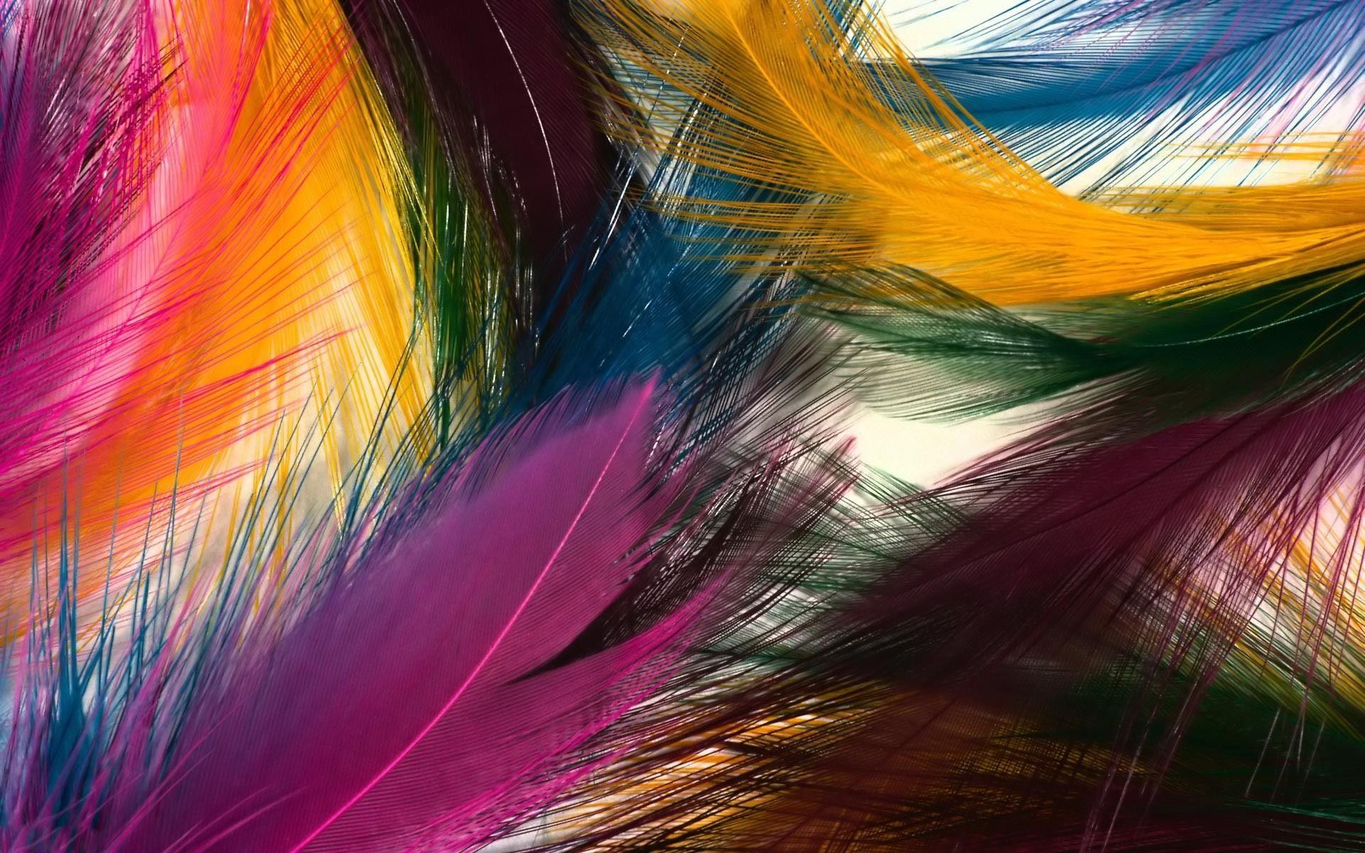 1920x1200 Feather Wallpaper for My Desktop