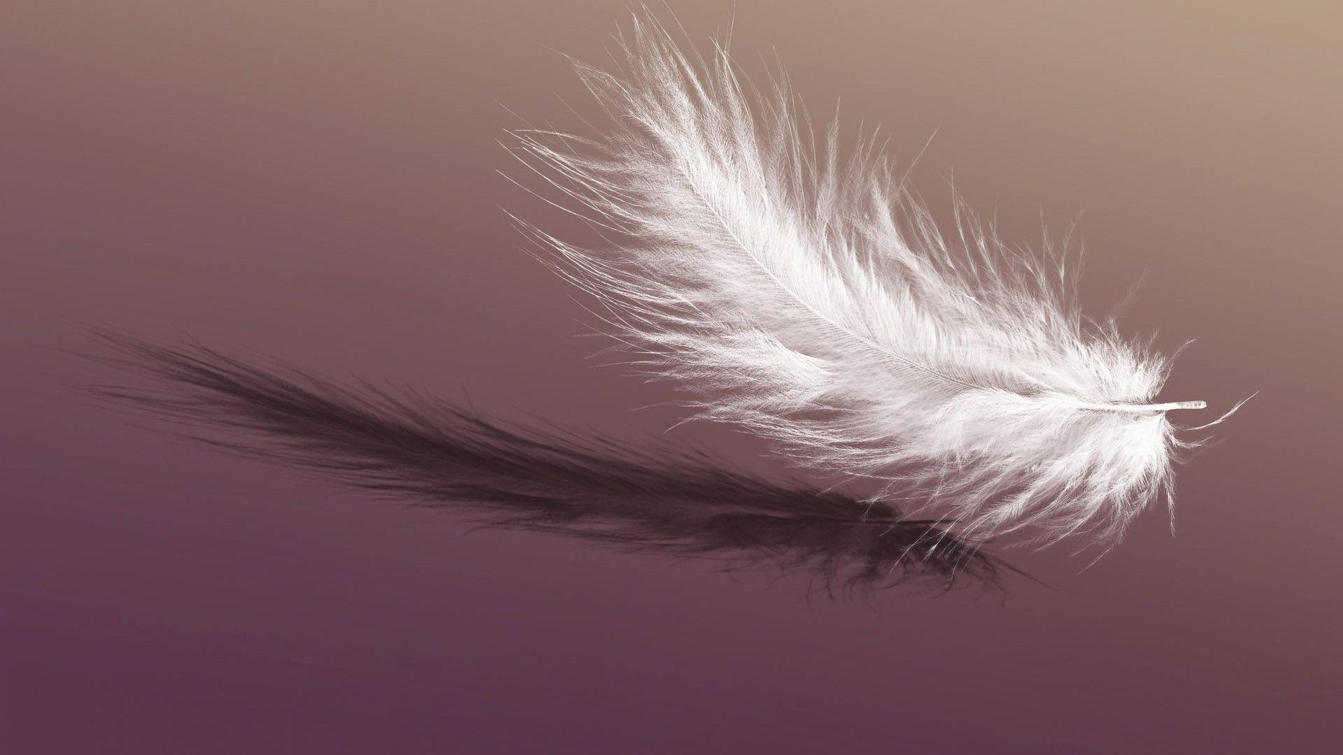 1920x1080 Featherlight Wallpaper. Featherlight