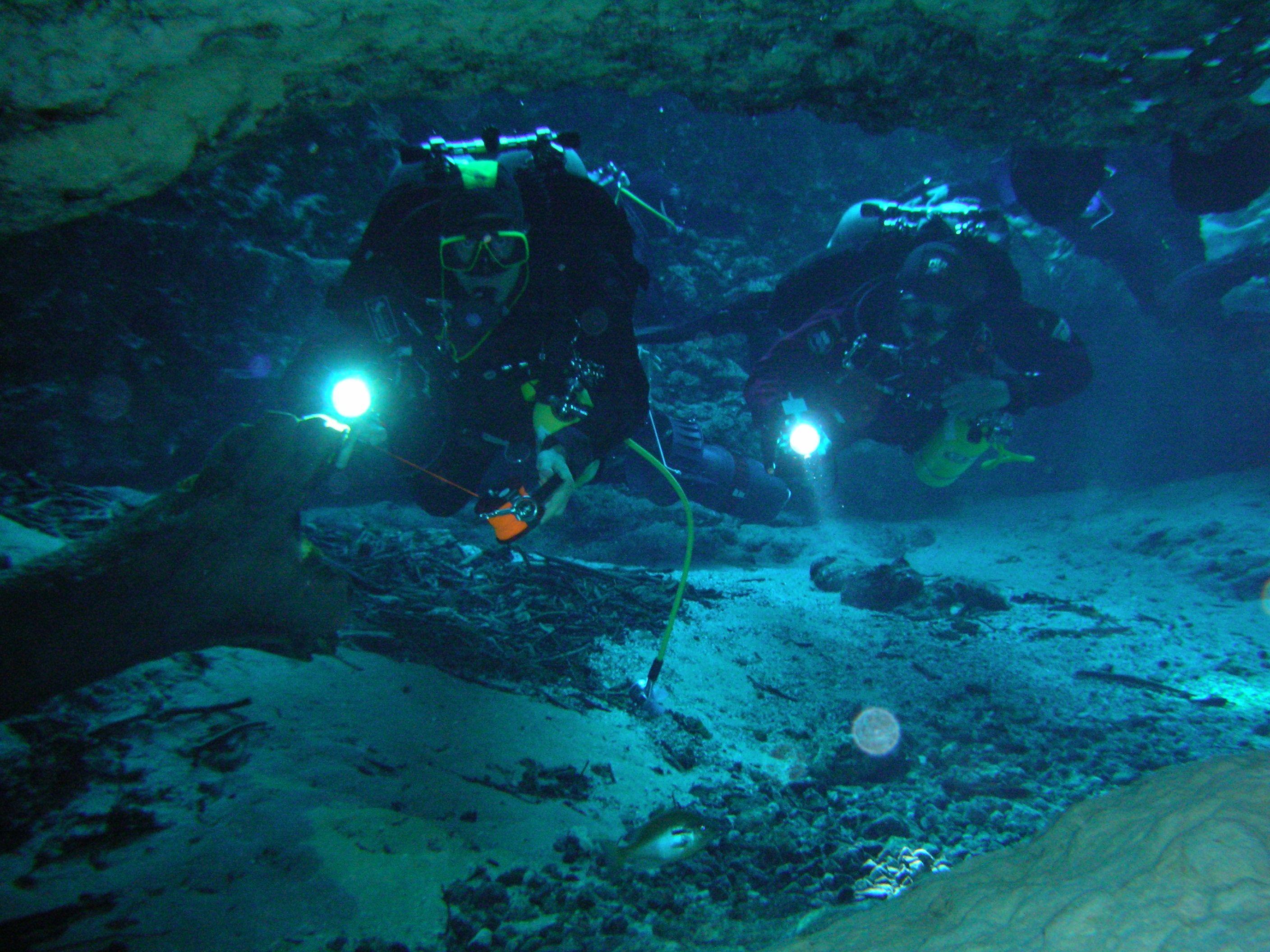 2816x2112 The Cave Environment and Conservation
